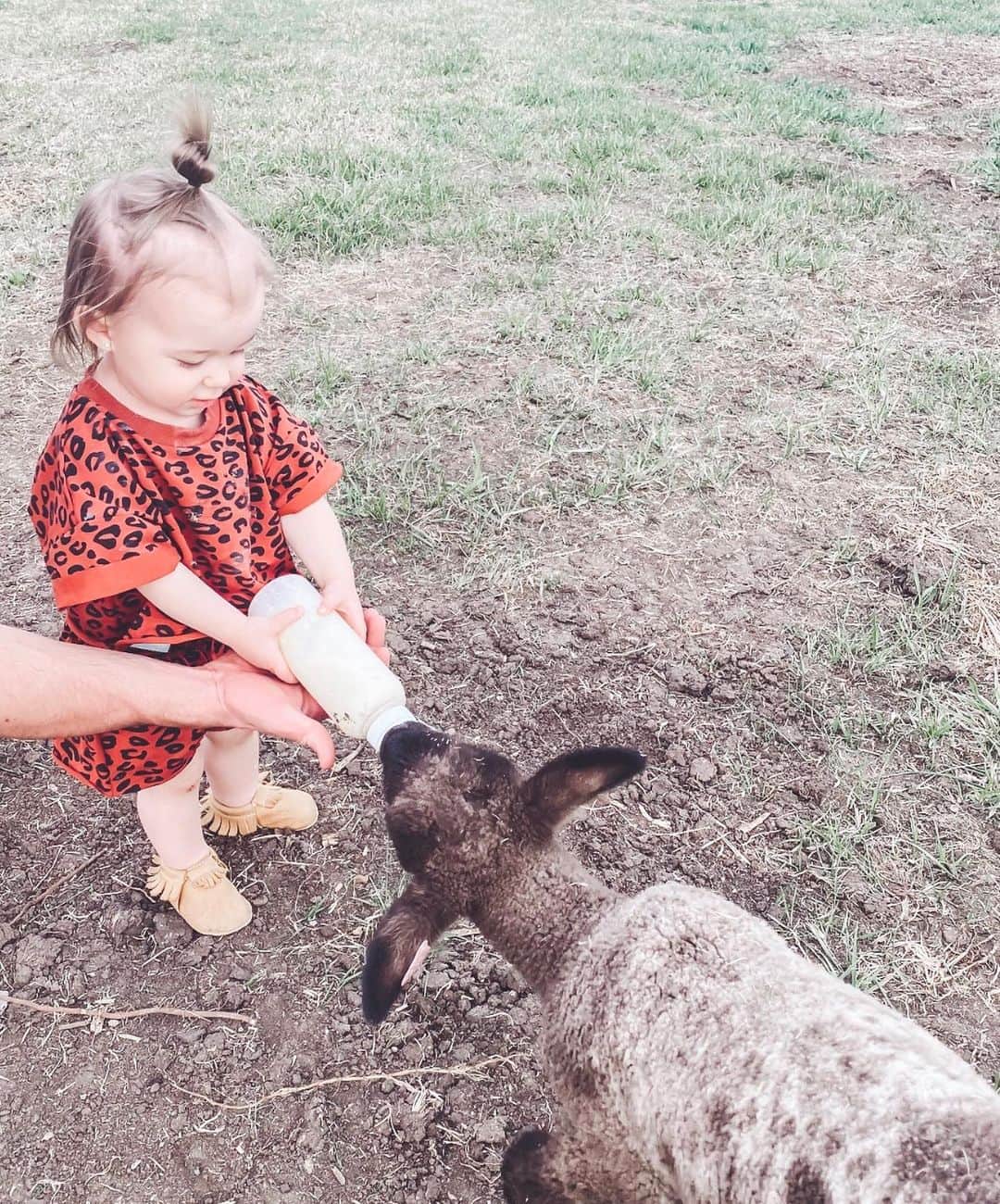 Chelsea Houskaさんのインスタグラム写真 - (Chelsea HouskaInstagram)「Happy happy birthday to our tiny, animal loving, WILD CHILD. You bring so much love and laughs to this family sweet girl 🌻 @coledeboer」8月30日 4時09分 - chelseahouska