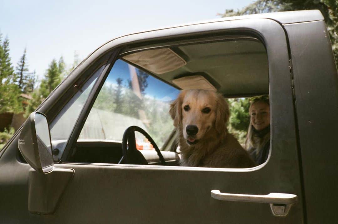 のインスタグラム：「Get in. Don’t ask questions.」