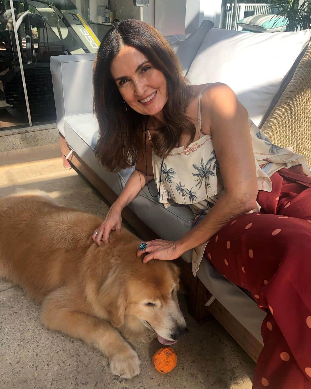ファチマ・ベルナルデスのインスタグラム：「Eles chegaram muito cheirosos do banho. Gulliver com saudade da sua bolinha laranja e Flora doida por um carinho na barriga.」