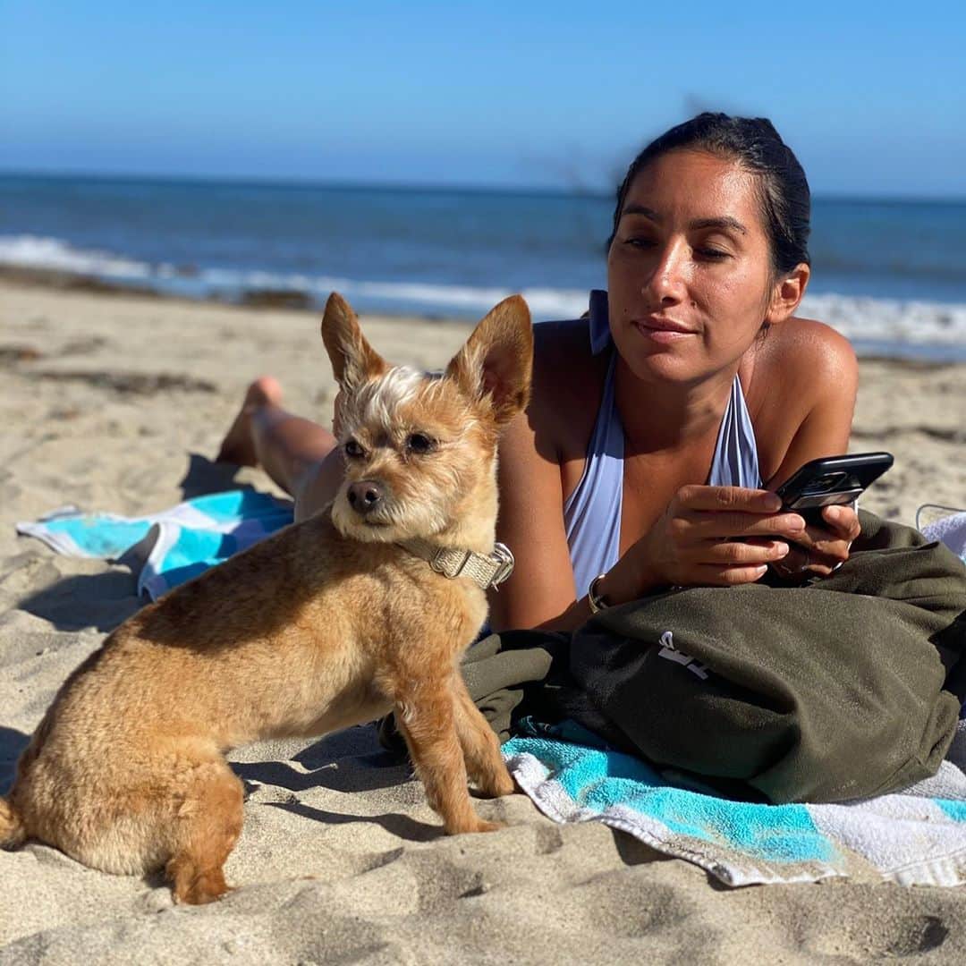 JEN ATKINさんのインスタグラム写真 - (JEN ATKINInstagram)「I was debating whether to share this or not but I think it’s important. Roo was running around on the beach and the next morning we woke up to her non responsive and stiff. The vet told us they saw she threw up an end of a cigarette filter that probably had marijuana in it (no, not ours). Apparently it’s VERY common now that weeds legal that people leave it around the house and in public areas. It gave us the scare of our life for a good 24hrs but she’s ok after getting an IV x charcoal. Please be careful with your pets. A small percentage of dogs ingesting THC have lead to seizures and coma. Swipe thru to see her post-vet visit thriving and bothering everyone during their workouts ♥️🐕」8月30日 7時18分 - jenatkinhair