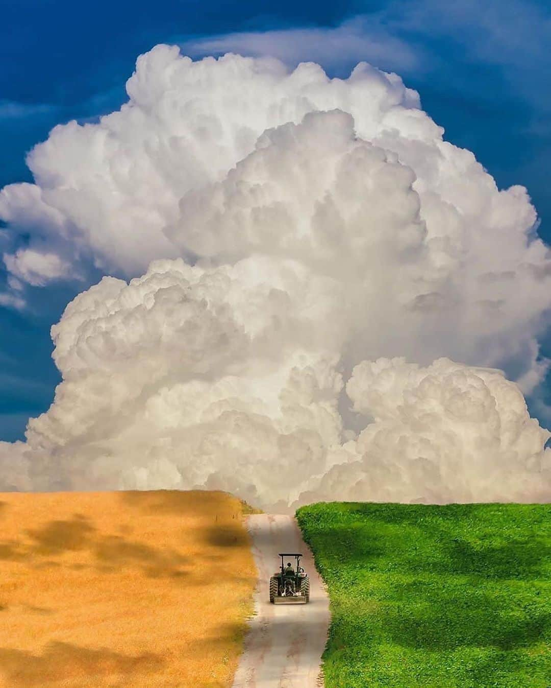 Canon Photographyさんのインスタグラム写真 - (Canon PhotographyInstagram)「Thunderstorms and summer crops.  Photography  @decak_iz_topole  Curated by @steffeneisenacher  #summertime #crops #thunderstorm #cumulonimbus #symmetry #serbia」8月30日 7時12分 - cpcollectives