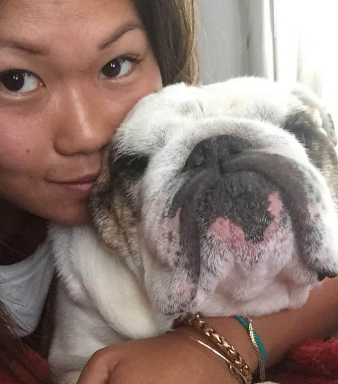 Bodhi & Butters & Bubbahさんのインスタグラム写真 - (Bodhi & Butters & BubbahInstagram)「Rest In Peace, our sweet buddy Biggie has crossed over the rainbow bridge 🌈 We love you @chichelle_moi & Queenie and send you our deepest condolences and our biggest hugs 💕🐶💖」8月30日 13時24分 - keonistuff