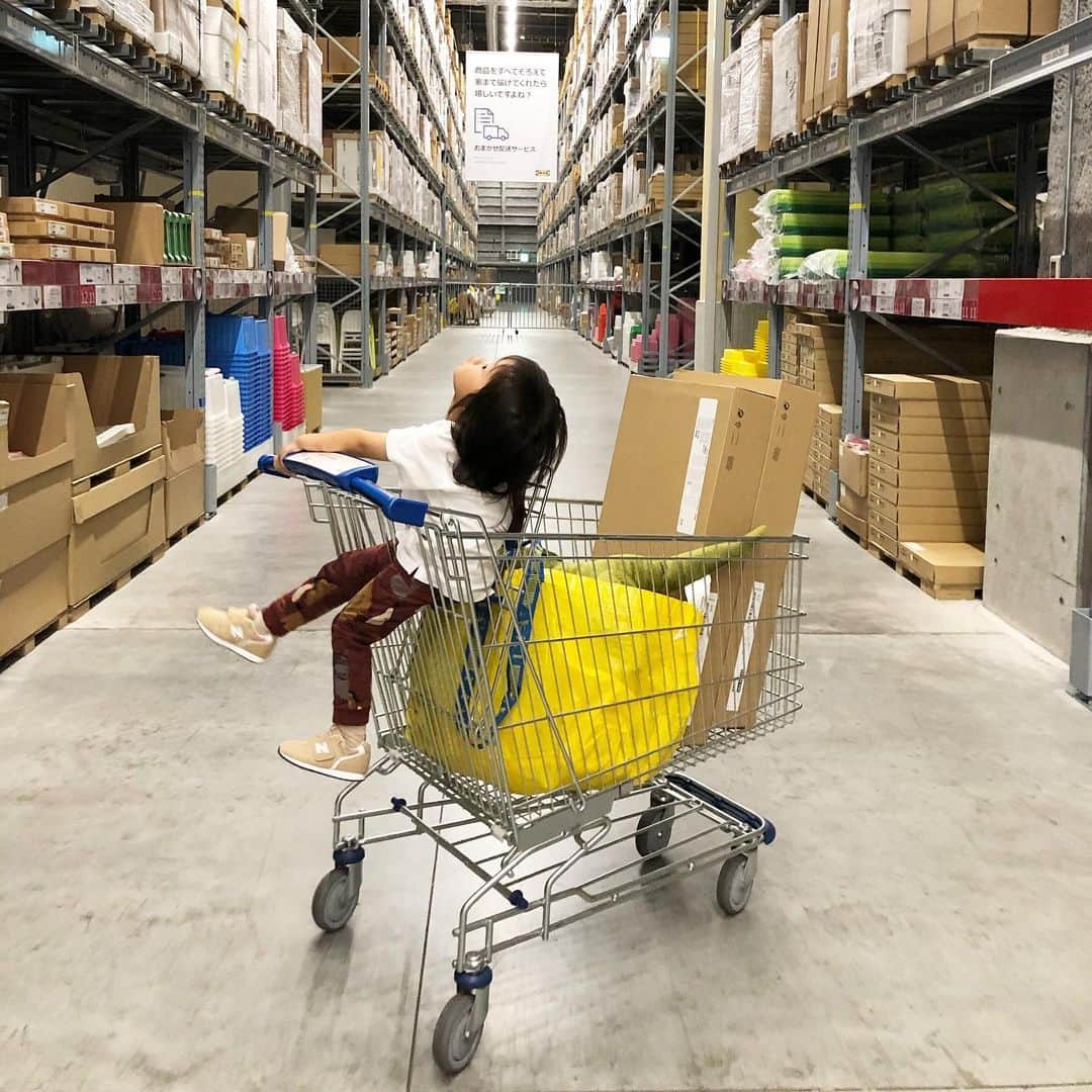のインスタグラム：「2020.8.29 * IKEA🇸🇪 * 3歳9ヶ月 1388days 🦖見た瞬間ギュッてして離さない 普段全然興味ないよ これからブームが来るのかな🦕 * * *」