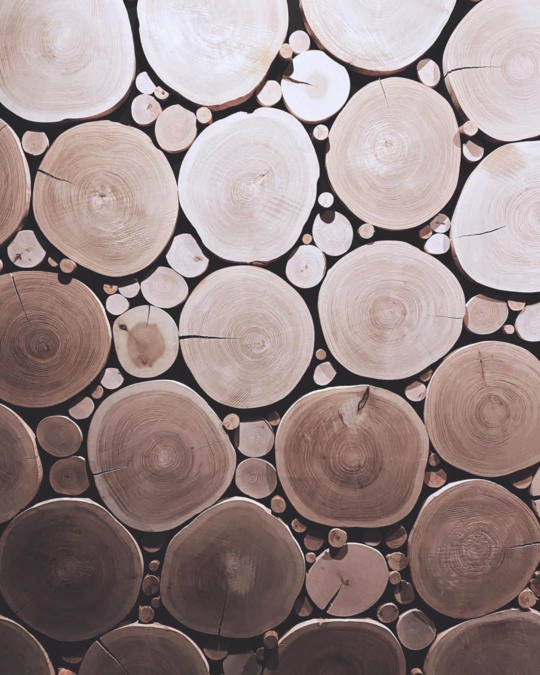 のインスタグラム：「space﻿ ———————————————————————﻿ ﻿ ﻿ ﻿ The texture of trees ﻿ ﻿ ﻿ ﻿ ﻿ #trees #woodgrain #grain #wood #texture #nature #photography #worksofart #finearts」