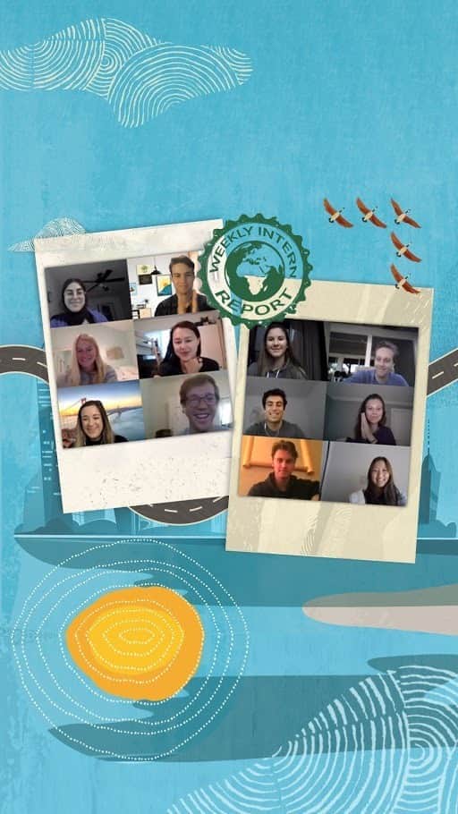 Oracle Corp. （オラクル）のインスタグラム：「The Intern Report is broadcasting its final goodbye! Our first virtual #internship was a huge success thanks to our bright #OracleInterns. Thank you!❤️」