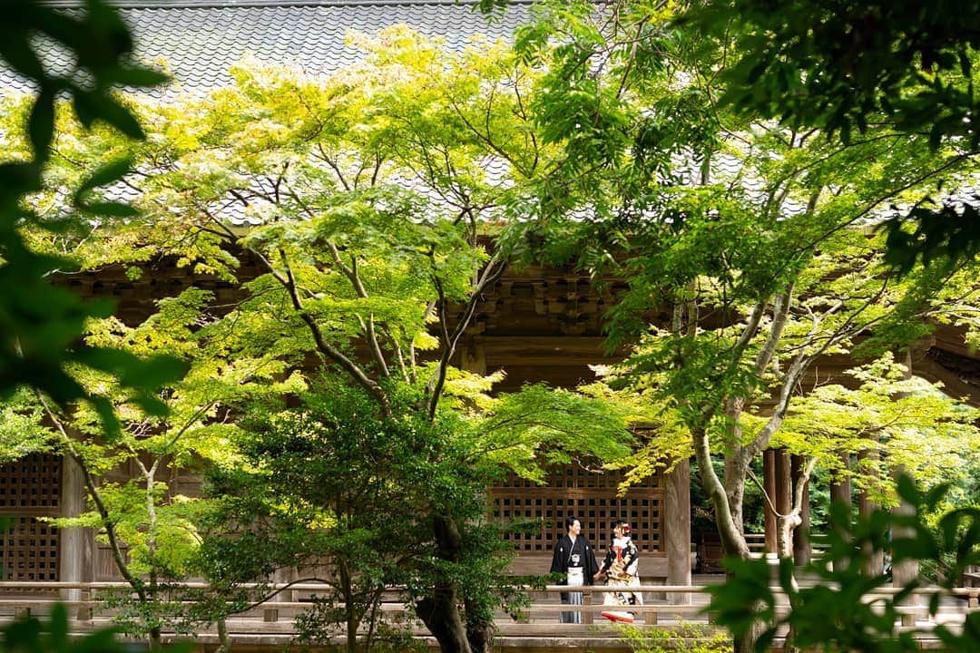 鎌倉プリンスホテル写真室_la-vie factoryのグルメインスタ