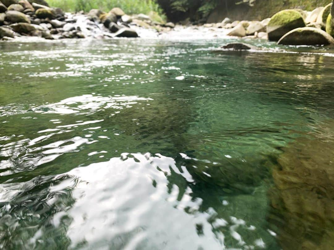 井浦新さんのインスタグラム写真 - (井浦新Instagram)「火山山麓にある渓流は 水も大地も力づよい 心身澄み渡った  hat : #neighborhood  sunglass : #oakley tee : #adidas」8月30日 10時44分 - el_arata_nest