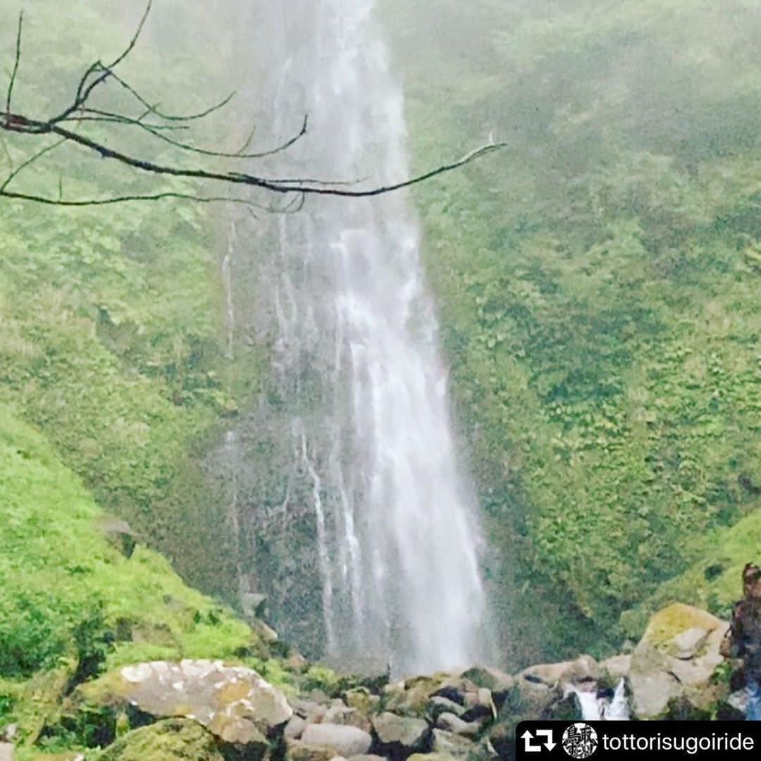 山本隆弘さんのインスタグラム写真 - (山本隆弘Instagram)「#repost @tottorisugoiride ・・・ 【撮影〜No.3】  〜雨滝〜  鳥取県には、日本の滝百選にも選ばれた雨滝という滝があります。  すぐ近くまで車で行けて、歩いて坂を下ります^ - ^ まず右手に2枚目の小さい滝が現れ、先に進むと立派な雨滝が…  マイナスイオンがたくさん感じられ、すごくパワーをもらえるところだと感じました^ - ^  雨滝へ向かう途中に、 雨滝豆腐が売っています。 絶品ですのでみなさんもぜひ行ってみてください✨  #雨滝 #雨滝豆腐  #日本の滝百選  #鳥取県  #マイナスイオン  #山本隆弘  #鳥取すごいライド」8月30日 11時03分 - yamamototakahiro5