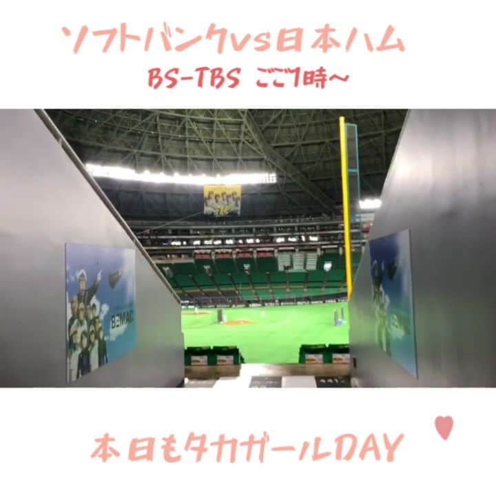 TBS「TBS野球班」のインスタグラム：「本日は野球の告知盛りだくさん😎  家族で観ようぜ。プロ野球⚾ #ソフトバンク vs #日本ハム 📺BS-TBSで13時～📺  PayPayドームは 今日も🌈タカガールデー🌈  昨日に続き、試合中はピンクのラインが入ったユニホームを着用して、ベースや看板などがピンク色になります💗  今日の先発は石川柊太投手⚾18年8月7日ロッテ戦から11連勝中💮  HR.打点のリーグ二冠中✨ 中田翔選手にも注目です👀」