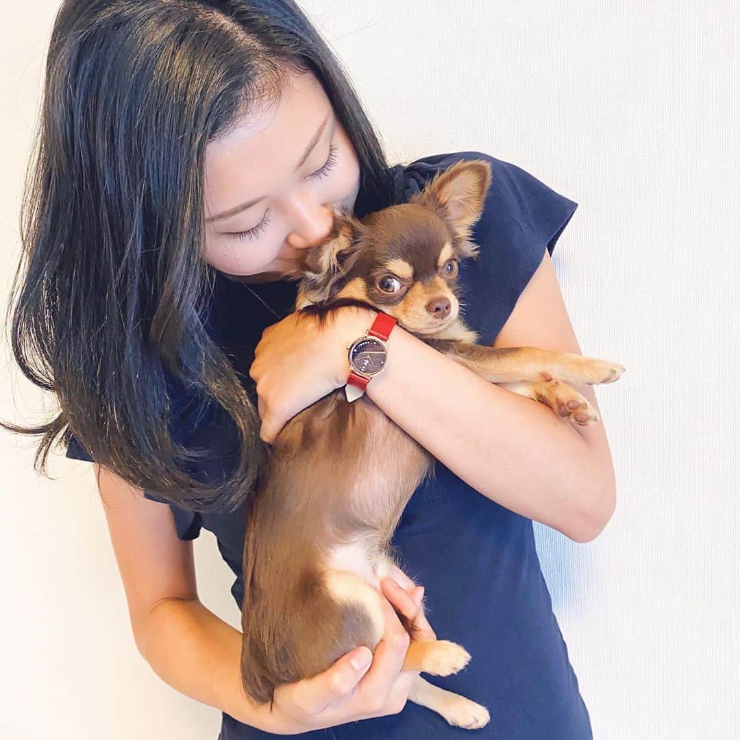 Rina Itagakiのインスタグラム：「Staying home with my baby❤️💙 今週末もニコとステイホーム🏠 よく紺色の洋服を着るから、新しい時計は赤バンドをチョイス☺️フェイスもキラキラでかわいい✨ * 「rinanhz」の使用で10％OFFになるそうなのでぜひ〜⌚️ #リアクレア #時計 #腕時計 #liakulea #ハワイ#手元倶楽部 #チワワ #チワスタグラム #チワワ部 #チョコタン #チョコタンチワワ #犬のいる暮らし #いぬのきもち」