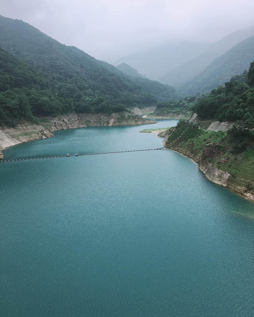 白葉まりさんのインスタグラム写真 - (白葉まりInstagram)「温泉モデル撮影で行った群馬県にある四萬館の貸切風呂♨️❤️ . 『おんせんにんぎょの湯』🧜✨ . 名前の通り色んなところに人魚の絵が描いてあって、美しい絵に気持ちが高まりました(*´艸｀*)💛✨ . 近くのダムもずっと見ていたいくらいキレイなエメラルド色💚 . . さっきYouTubeに入浴オフショットあげました～～😘💓💓白葉まりで出てくるよ💓 . . . . . . #温泉 #温泉モデル #温泉女子 #四萬館 #四万温泉 #ダム #混浴 #混浴露天風呂 #貸切風呂 #hotspring #onsen #goodevening #YouTube #YouTuber」8月30日 21時10分 - shirahamari