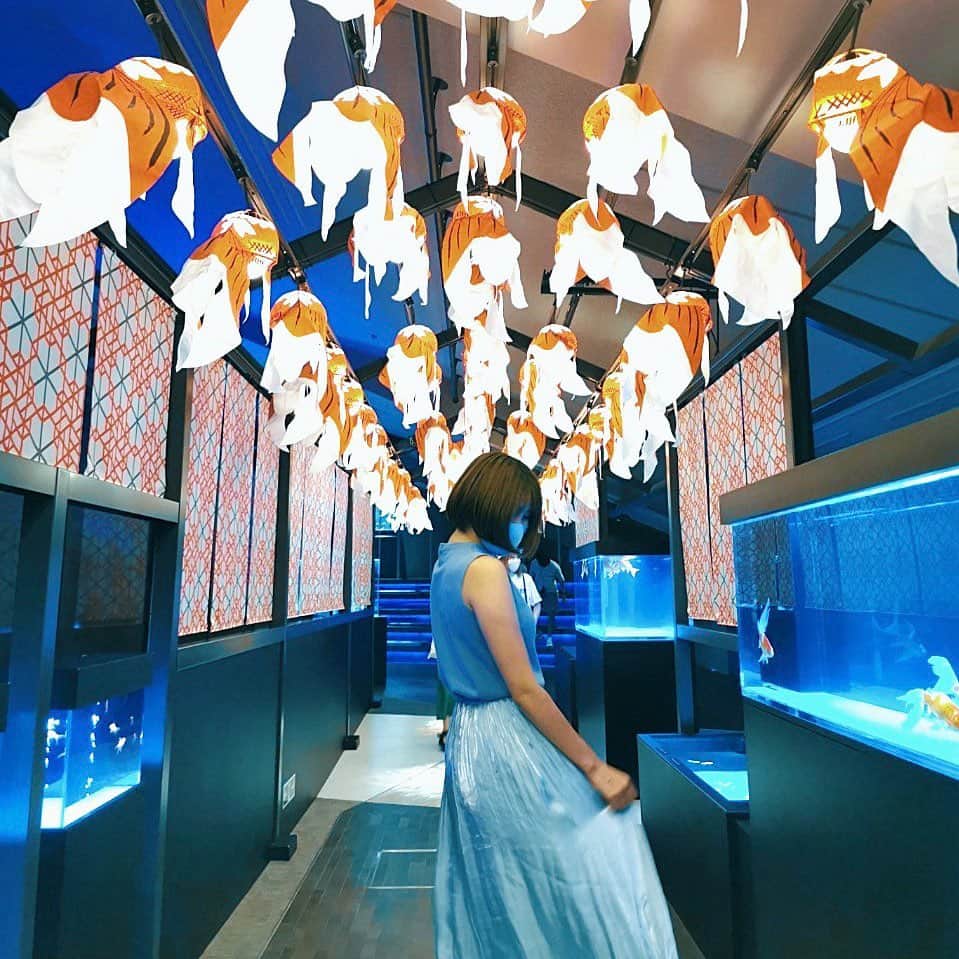 藤本有紀美のインスタグラム：「❤️💙 金魚あっち向いちゃってるね🙄 #すみだ水族館 #水族館」