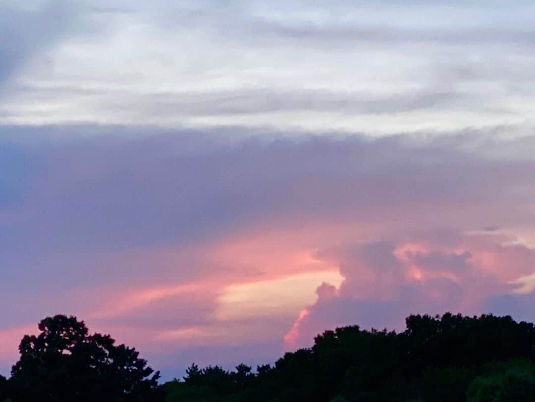 喜国雅彦＆国樹由香さんのインスタグラム写真 - (喜国雅彦＆国樹由香Instagram)「今日の犬散歩で見た空も美しすぎた（由）  #skystagram #sunset #sky #cloud #red #beautiful #riverside #tokyo #japan #夕方のお散歩ルート #最近いつも同じ方向に曲がる #違うルート好きの喜国さんが何故 #と思ったら #由香ちゃん夕焼け見たいんでしょ #って #こういうとこスパダリ #ありがとう」8月30日 21時49分 - kunikikuni
