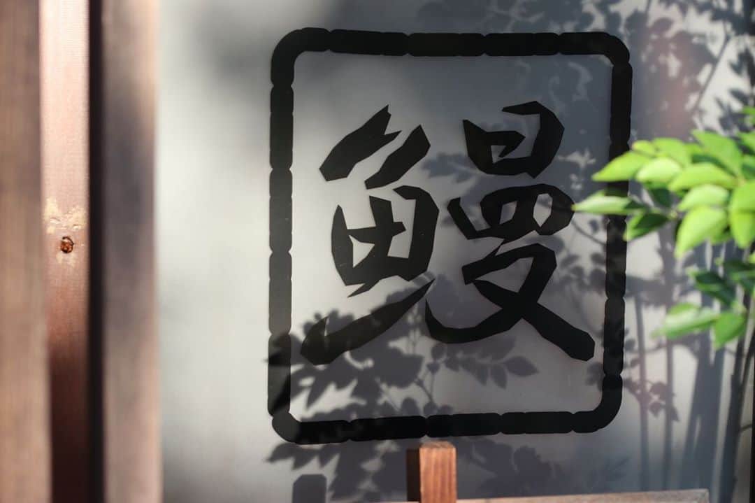 高井直子のグルメインスタ