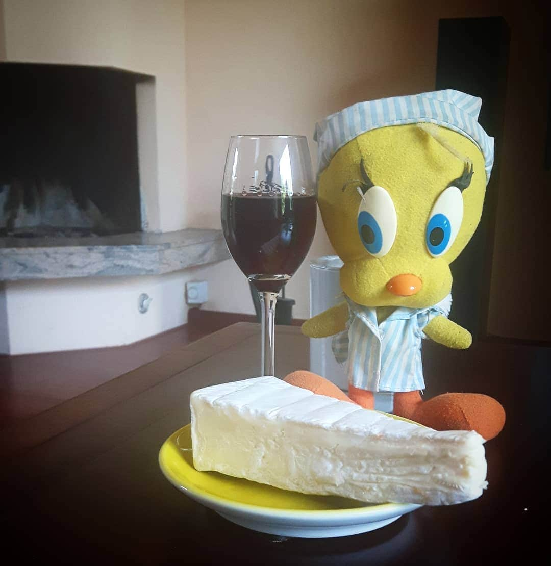 Little Yellow Birdさんのインスタグラム写真 - (Little Yellow BirdInstagram)「It's windy, rainy, nippy...maybe I should start a woodfire...but first brie & port!  #littleyellowbird #tweety #tweetykweelapis #adventures #yellow #bird #weekend #sunday #sundayevening #drinks #happyhour #brie #cheese #port #portwine #endofsummer #august #rainyday #stuffedanimalsofinstagram #plushiesofinstagram」8月30日 22時22分 - tweetykweelapis