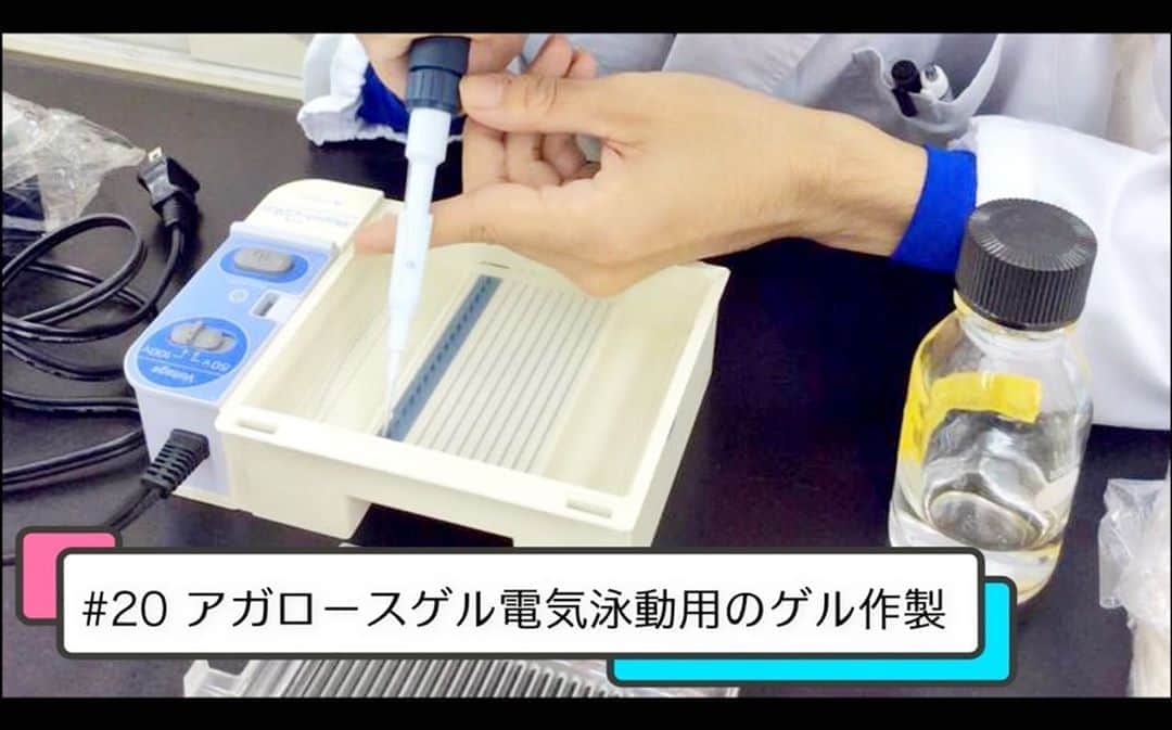 東京バイオテクノロジー専門学校さんのインスタグラム写真 - (東京バイオテクノロジー専門学校Instagram)「🏠#スキマ時間 に #進路研究 #東京バイオ のYouTubeチャンネルでは、 #進路選び で気になるあれこれを解説！  今回の動画は #遺伝子工学 の基本でもある #アガロースゲル電気泳動 の ゲル作製を学べる動画🧬  詳しくは東京バイオの #YouTubeチャンネル　を チェック！  https://youtu.be/jdF3pcjXcuc  #東京バイオ#東京バイオテクノロジー専門学校  #実験#理系#専門学校 #遺伝子 #電気泳動」8月30日 14時02分 - tokyobio
