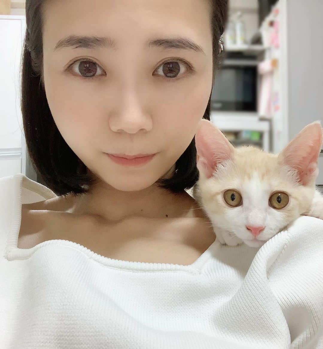 緑川静香さんのインスタグラム写真 - (緑川静香Instagram)「似てきたらしい。🐈﻿👩 ﻿ #不意に撮れた一枚  #スッピンさん #肩にのるのが好きらしい #乗りたいのかたまに飛びついてくる #保護猫と暮らす  #チャイ様 #暴れん坊具合に拍車がかかってます #でも可愛い #チャイインスタもぜひフォローしてねん」8月30日 14時47分 - midorikawa_shizuka