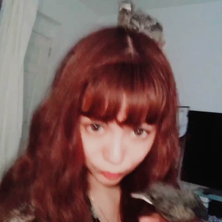 Arimeのインスタグラム：「ちょっと前にに家の近所で巣から落ちて元気がなかった雛を保護。巣に戻せるような場所ではなかったので、ちょと元気になるまで保護後動物病院に連れて行きました🐥 2羽いたので少しの時間だったけど名付けたwぴー　と　スケ　 で　ぴースケ❤︎ 可愛かったなぁ！  Helped the little bird ❤︎  #okinawajapan #雛 #小鳥 #可愛い #いとおしい #読谷村 #ちいさないのち #生命 #babybird #yomitan #littlebird」