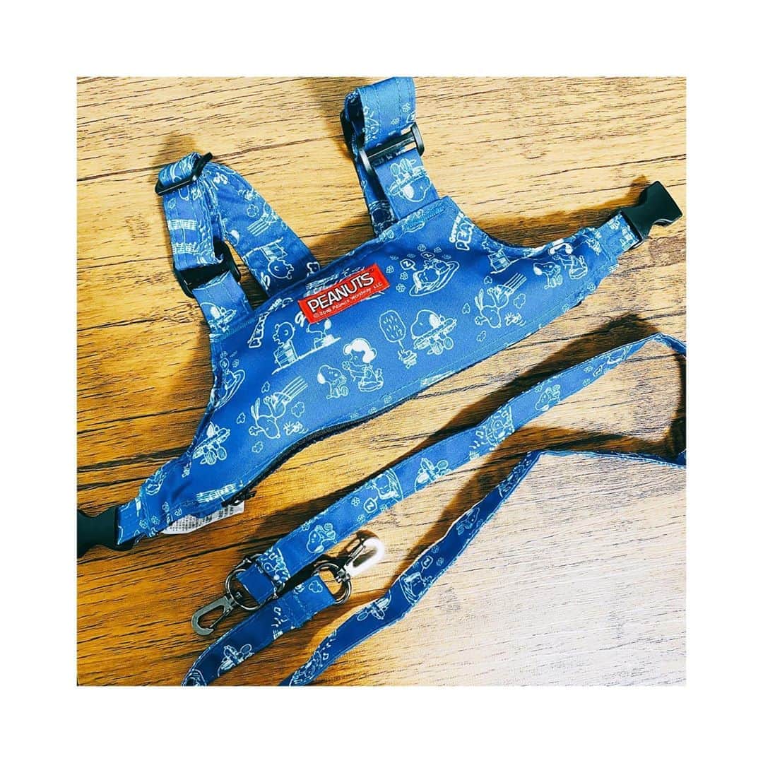 のインスタグラム：「【買ってよかった育児グッズ】 @richell_baby_official_jp の#2wayチェアベルト ！  最近はハイチェアのベルトを抜け出して椅子の上に立って一瞬も目が離せない毎日🤔割と離乳食時間にイライラしてしまうのが嫌で💦 なのでこれを買ってみたんだけど、立てない、抜け出せない何より危なくない！！！ 普通のチェアベルトは腰につけるんだけど、それだと我が娘は絶対抜け出すだろうなぁーと思ってた（笑）そんな時に知りました。これは上半身につけるタイプで、ハイチェアの立ち上がり防止になります✌️ あと迷子紐❓っていうのにも使えるみたいー！  ものすごくコンパクトになるからお出かけ先でもお家でも使えるし買ってよかったーー💓  @tamahiyoinsta #公式たまひよグラマー #買ってよかった育児グッズ　#女の子ベビー #babygirl #1歳 #1yearsoldbaby #1yearsold #離乳食グッズ #育児グッズ #赤ちゃんのいる生活 #赤ちゃんのいる暮らし #たまひよ公式インスタグラマー #たまひよ　#ひよこクラブ #女の子ママ #女の子のママ #チェアベルト#リッチェル #リッチェルチェアベルト」