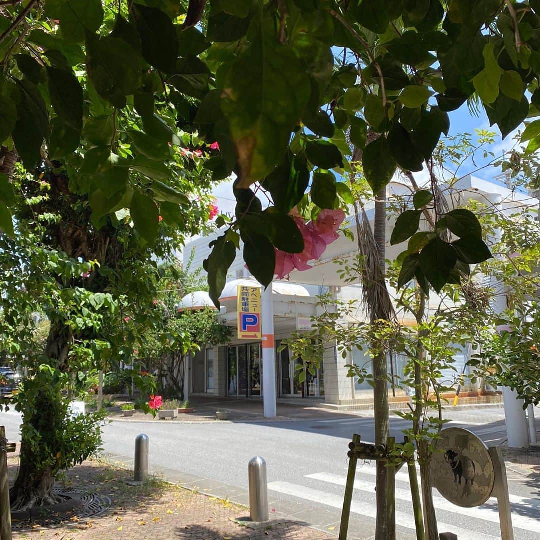 畑亜貴さんのインスタグラム写真 - (畑亜貴Instagram)「街を覆う植物達に可愛く彩られるコザ。リニューアルした AKI HATA Official website 用の写真は、商店街の店舗をリノベーションしたホテルにて先月撮影。とても素敵な内装でした😊 #akhtravelogue」8月30日 15時42分 - akihata.jp
