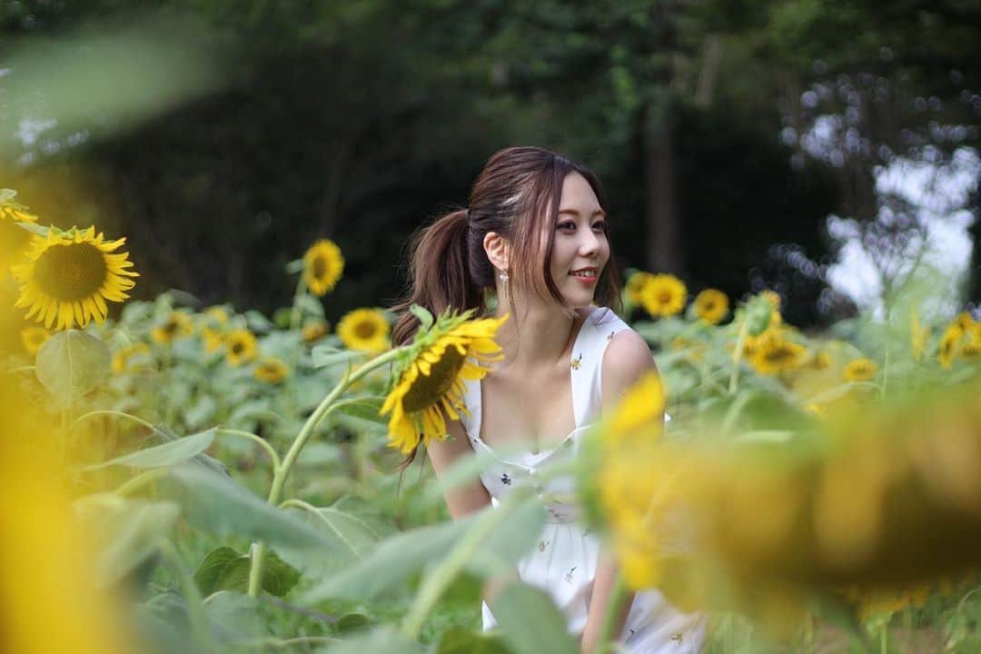 西村季里子さんのインスタグラム写真 - (西村季里子Instagram)「・  違うサイズの🌻  ひまわりって何種類あるの？？ 午後から行ったから結構下向いちゃってた🌻  早めにくるはずが 話しに花咲いちゃってね🌻(黙)  #ひまわり #ひまわり畑  #🌻 #昭和記念公園 #立川」8月30日 16時40分 - kiriko_nishimura