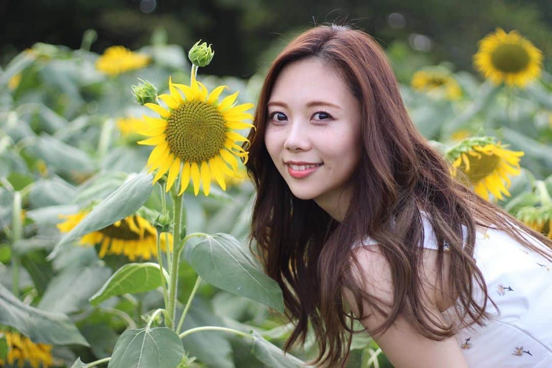 西村季里子のインスタグラム：「・  違うサイズの🌻  ひまわりって何種類あるの？？ 午後から行ったから結構下向いちゃってた🌻  早めにくるはずが 話しに花咲いちゃってね🌻(黙)  #ひまわり #ひまわり畑  #🌻 #昭和記念公園 #立川」