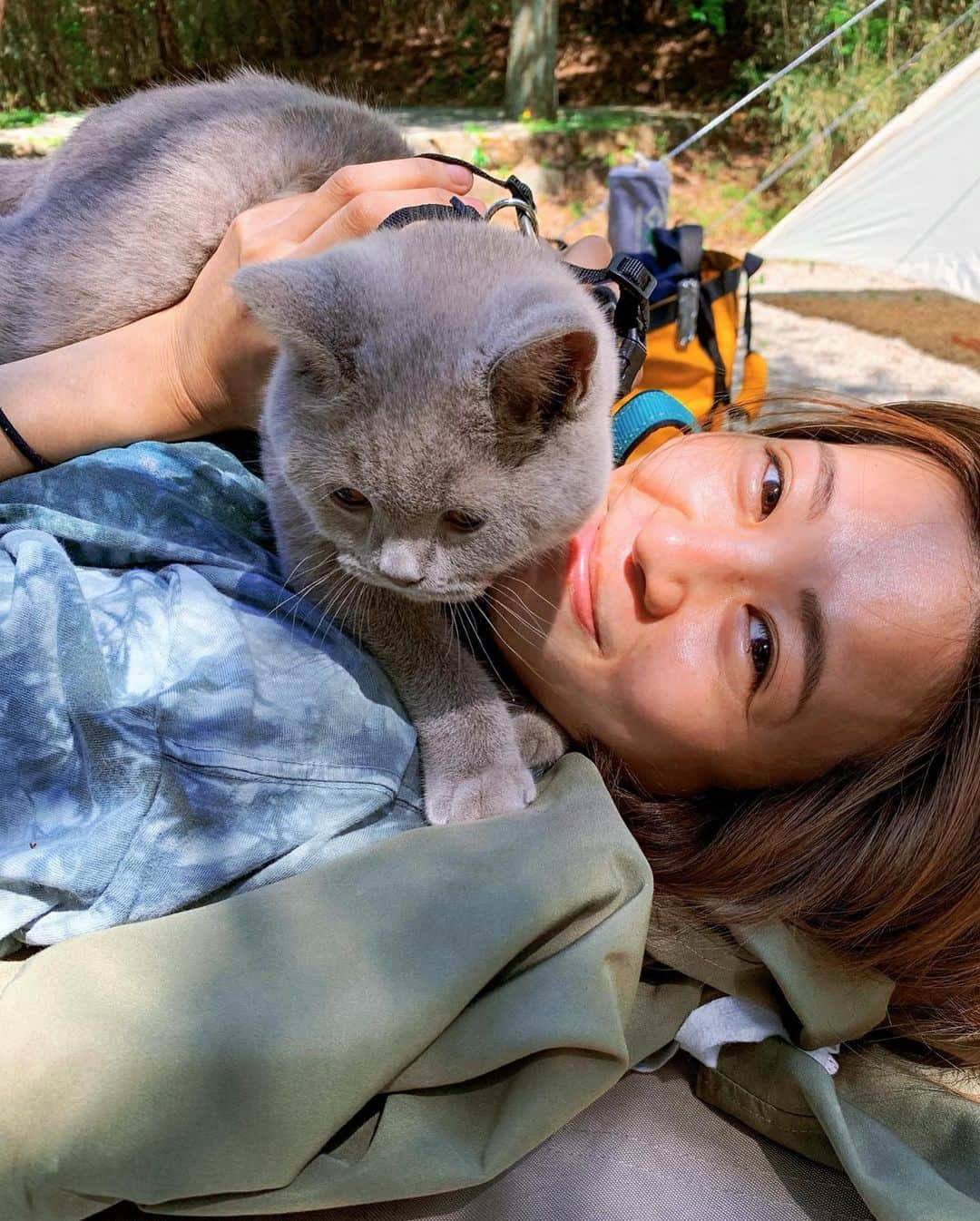 吉田夏海さんのインスタグラム写真 - (吉田夏海Instagram)「キャンプ猫ちゃん🐈🤍🤍🤍  #camp #camping  #cat #キャンプ #キャンプ猫 #思い出」8月30日 17時21分 - natsumiiiiiiiiiii