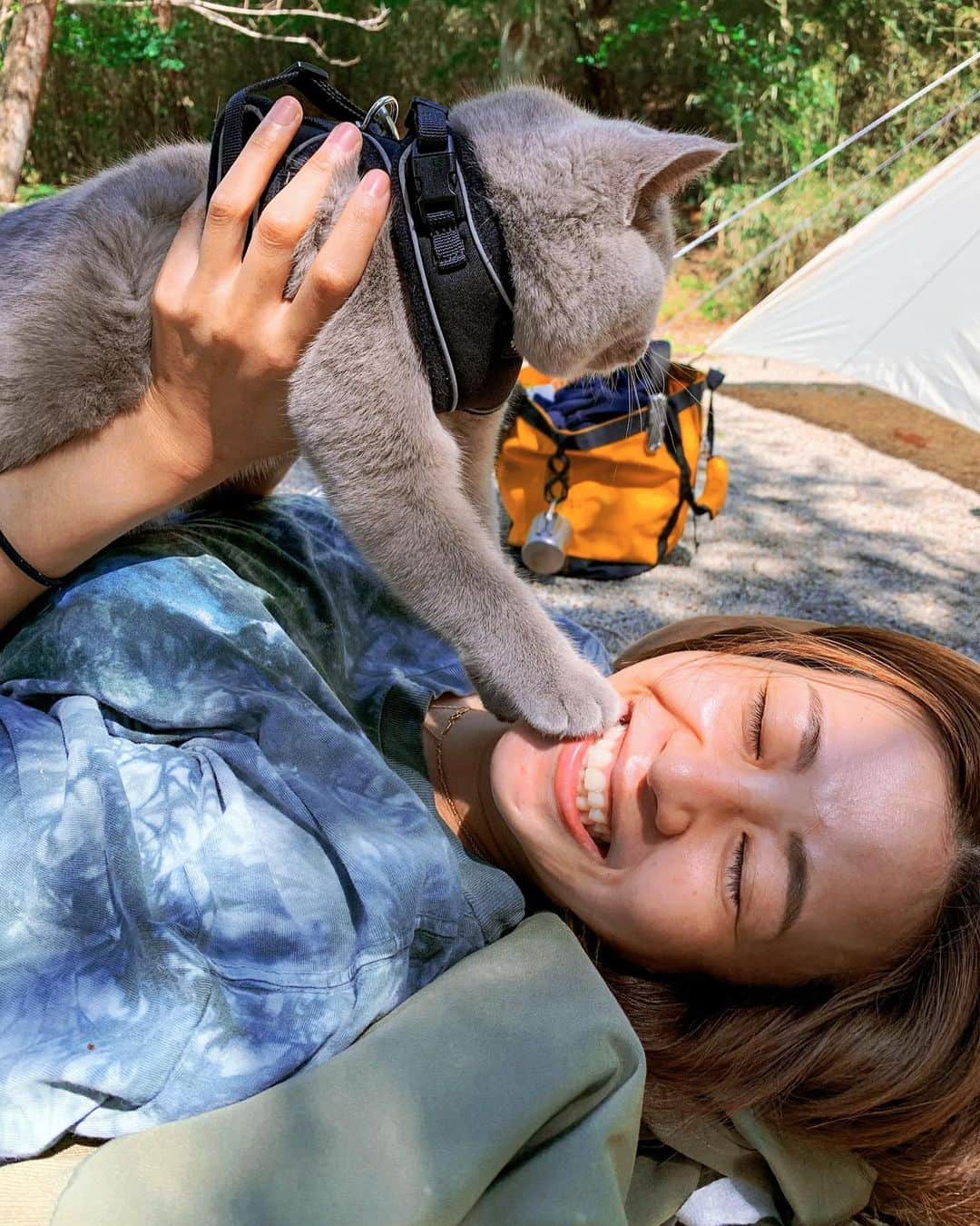 吉田夏海さんのインスタグラム写真 - (吉田夏海Instagram)「キャンプ猫ちゃん🐈🤍🤍🤍  #camp #camping  #cat #キャンプ #キャンプ猫 #思い出」8月30日 17時21分 - natsumiiiiiiiiiii