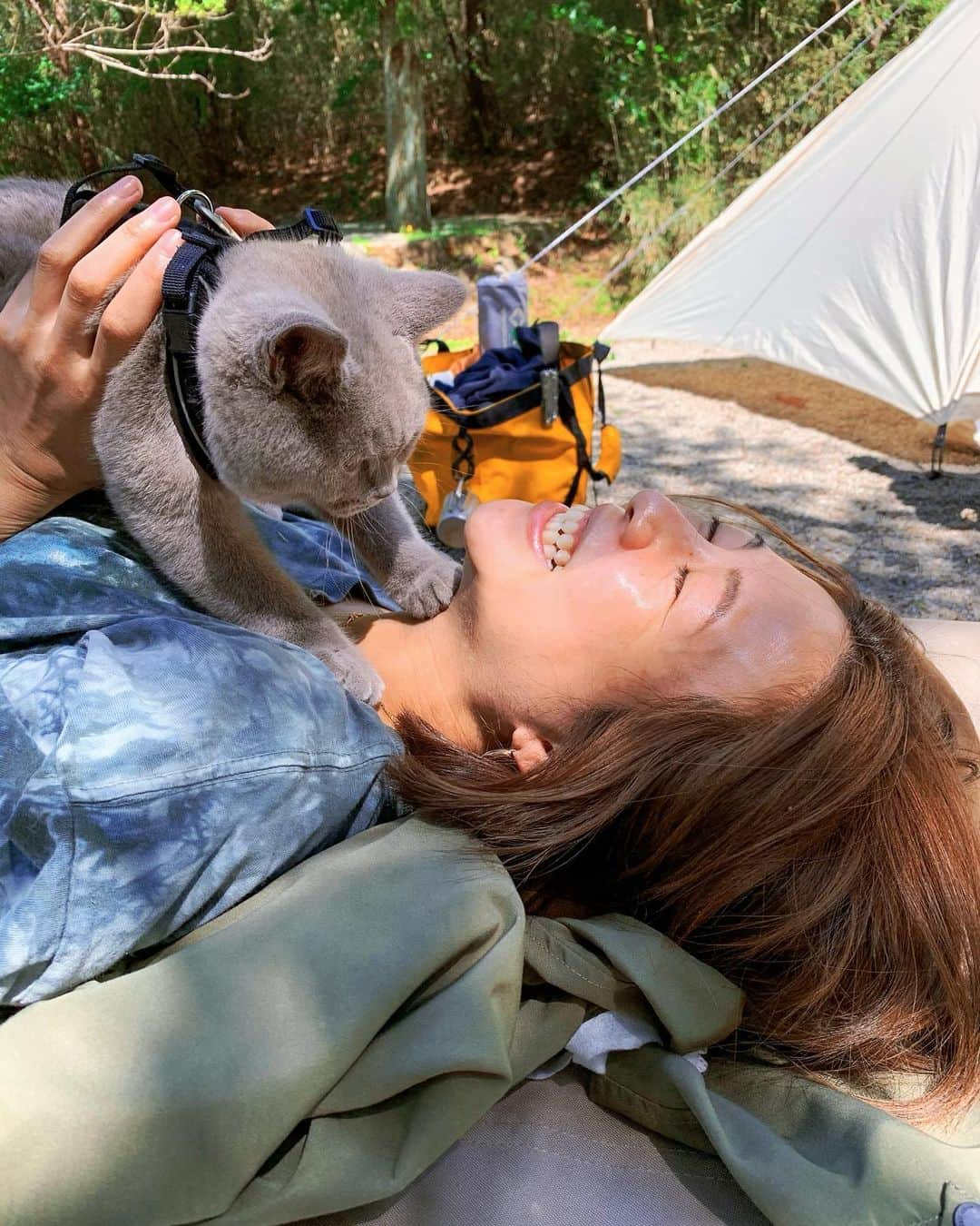 吉田夏海さんのインスタグラム写真 - (吉田夏海Instagram)「キャンプ猫ちゃん🐈🤍🤍🤍  #camp #camping  #cat #キャンプ #キャンプ猫 #思い出」8月30日 17時21分 - natsumiiiiiiiiiii