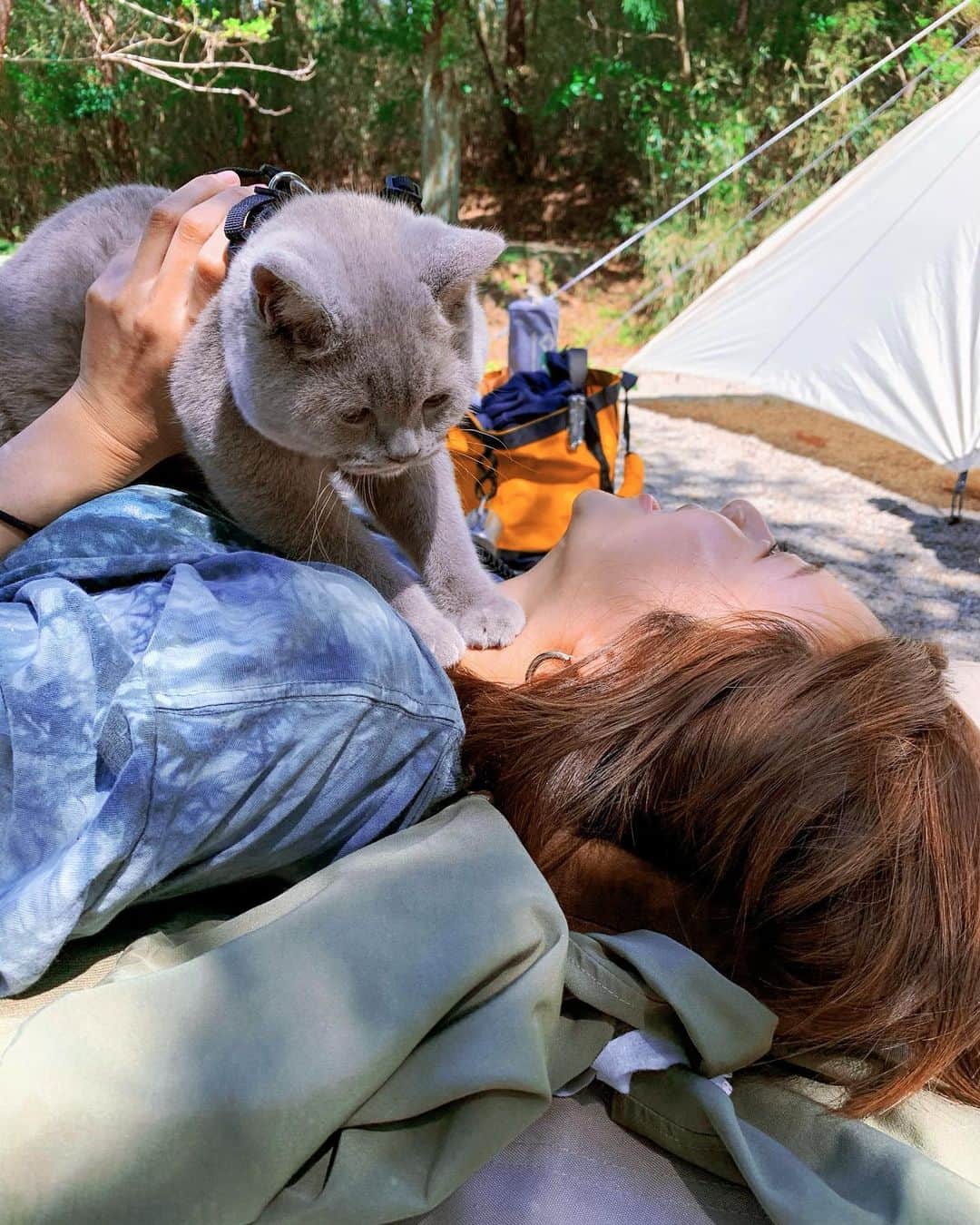 吉田夏海さんのインスタグラム写真 - (吉田夏海Instagram)「キャンプ猫ちゃん🐈🤍🤍🤍  #camp #camping  #cat #キャンプ #キャンプ猫 #思い出」8月30日 17時21分 - natsumiiiiiiiiiii