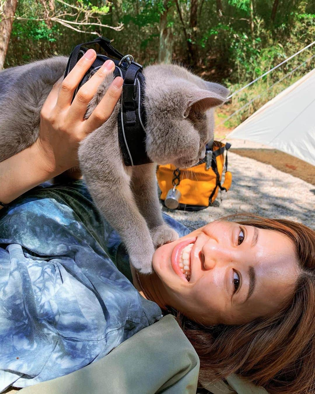 吉田夏海さんのインスタグラム写真 - (吉田夏海Instagram)「キャンプ猫ちゃん🐈🤍🤍🤍  #camp #camping  #cat #キャンプ #キャンプ猫 #思い出」8月30日 17時21分 - natsumiiiiiiiiiii