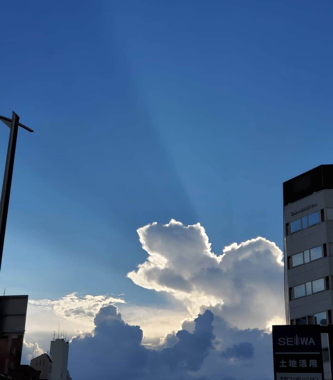 慶元まさ美のグルメインスタ