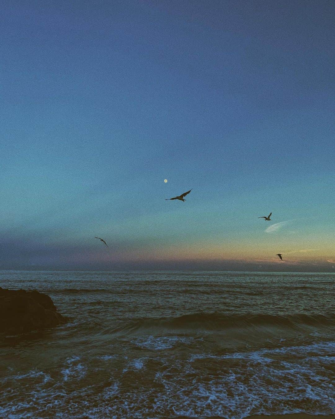 山中海輝のインスタグラム：「Take and edit this one with my iphone. 月の近さとカモメと岩の構図。 最高すぎてあわててiPhoneで撮影。」