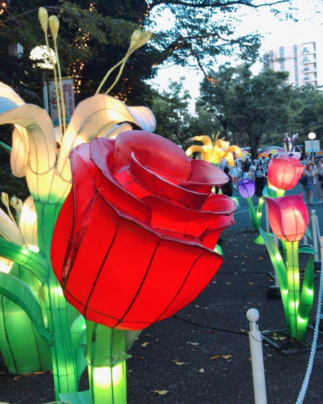 植松真理子さんのインスタグラム写真 - (植松真理子Instagram)「94年間ありがとう 最後、水プリンターに最後感動した🥺 #としまえん」8月30日 18時24分 - mariko__mm