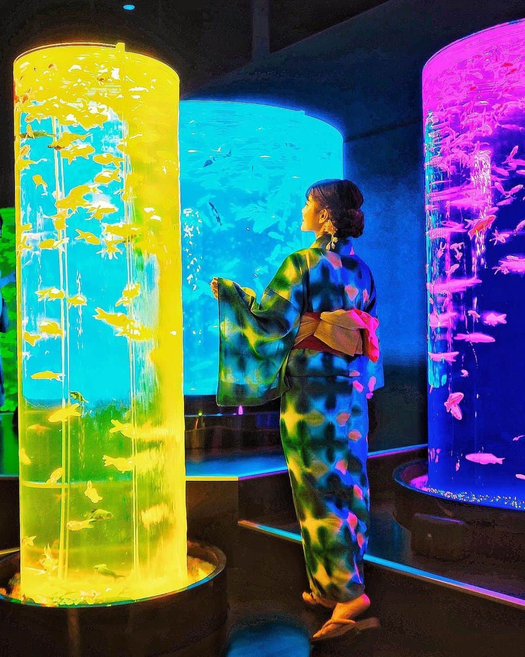 のインスタグラム：「#tokyo﻿ ﻿ ﻿ 8/28からオープンした﻿ #アートアクアリウムミュージアム﻿ ﻿ 常設展になったよ〜🐠🐡✨﻿ これからは行きたい時に﻿ この芸術を見れると思うと﻿ すごく嬉しい❤️﻿ ﻿ ﻿ @artaquarium_official  📮東京都中央区日本橋本町1丁目3番9号﻿ ﻿ 営業時間⏰﻿ 10:00～22:00(最終受付21:30)﻿ ﻿ ﻿ #アートアクアリウム#日本橋#金魚#artaquarium#nihonbashi﻿#アートアクアリウム美術館」