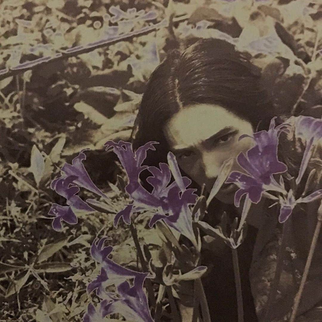 イマイアキノブさんのインスタグラム写真 - (イマイアキノブInstagram)「🥀『ノゾキカラクリ / イマイアキノブ』 1999年録音 2000年にリリースされたアルバムです  配信中 https://linkco.re/AZhxqd2T  イマイアキノブ vo,gt,per,pf  船戸博史 b 原田仁  b,harp つの犬  dr 関島岳郎  tuba,tp 中尾勘二  tb 林栄一  sax 坂本弘道 ‪ cello,musicalsaw,electronics‬  写真 桑本正士  CD『ノゾキカラクリ / イマイアキノブ』 ・ CXCA-1059 レーベル MIDI CREATIVE/MIDI INC ¥2934(税込)  #ノゾキカラクリ #船戸博史  #原田仁  #つの犬  #関島岳郎  #中尾勘二  #林栄一  #坂本弘道  #桑本正士 #イマイアキノブ #imaiakinobu」8月30日 18時58分 - imaiakinobu