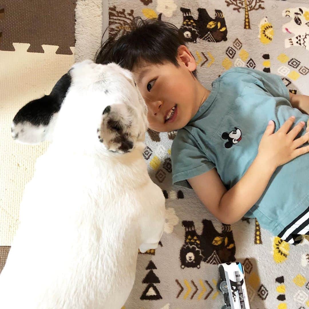 進藤やす子のインスタグラム：「✳︎ 本日の可愛いおふたりさん❤️ . . #はるちゃんふうちゃん👶🐼  #甥っ子はるちゃん👶 #叔母バカ #ふうこ日記 #ふうちゃん🐼」