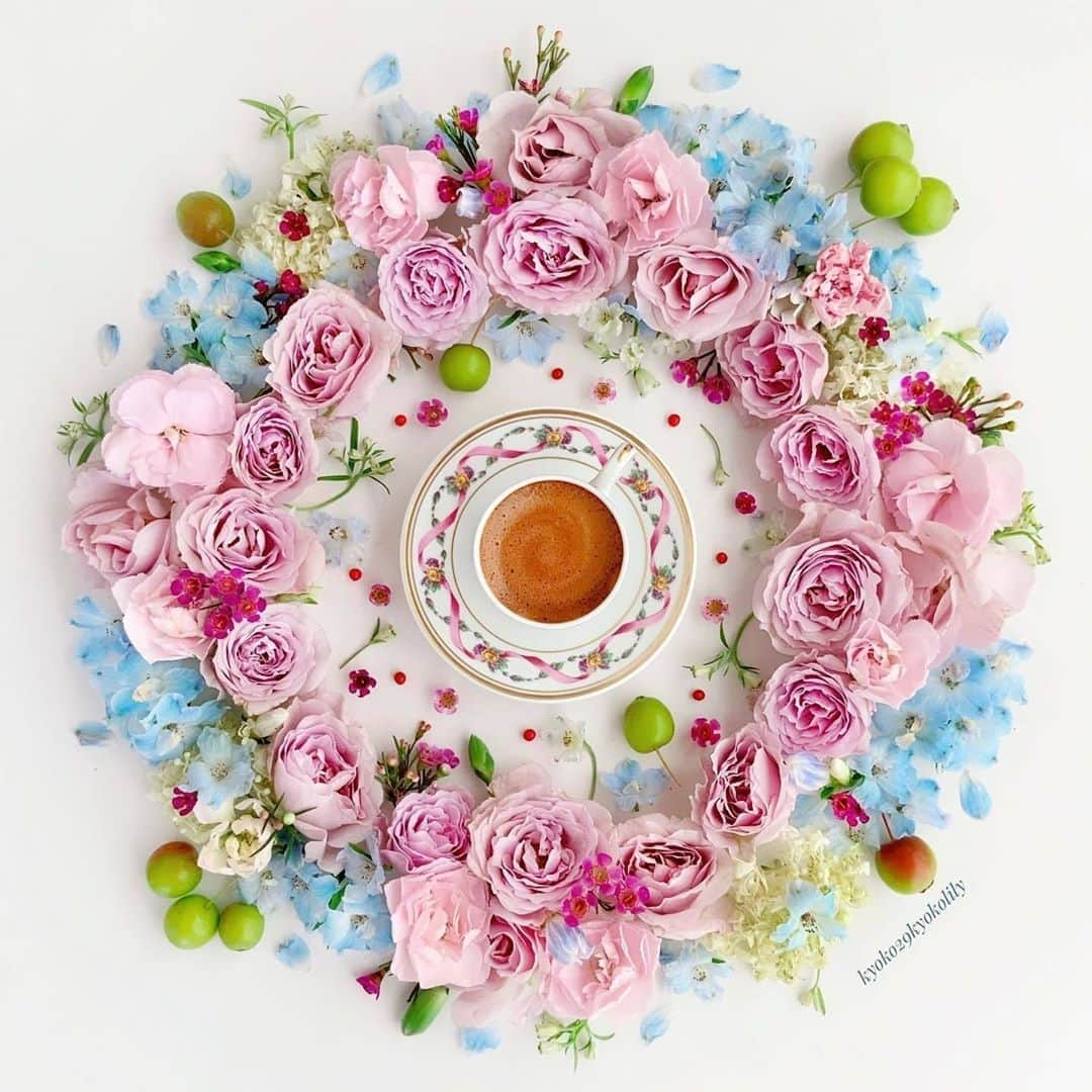 花の写真館のインスタグラム：「Photo by @kyoko29kyokolily.⠀ https://instagram.com/kyoko29kyokolily/⠀ .⠀ Original Post[投稿いただいたURL]⠀ https://www.instagram.com/p/CDjFiO2s2Gf/⠀ .⠀ 本アカウントは、 #私の花の写真 をつけてInstagramに投稿された皆さまの花の写真や、「花の写真館」Facebookページで投稿された花の写真を紹介します。⠀ 「花の写真館」Facebookページは、「 @floral.photograph 」のプロフィールにあるURLからご覧ください。⠀ .⠀ ※各自、政府、自治体など公的機関の指示に従った行動をお願いします。⠀⠀ 東京カメラ部および分室では、写真を「見る楽しみ」を提供することを通して、微力ながら皆様にわずかな時間でも癒しをお届けしたいと思っております。⠀ ※本アカウントは東京カメラ部がFacebook、Instagramのサービスを利用して運営しているもので、Facebook社・Instagramとは一切関係ありません。⠀ .⠀ #花の写真館 #floralphotograph #floralphoto #flower #flowers⠀ Follow: @floral.photograph」