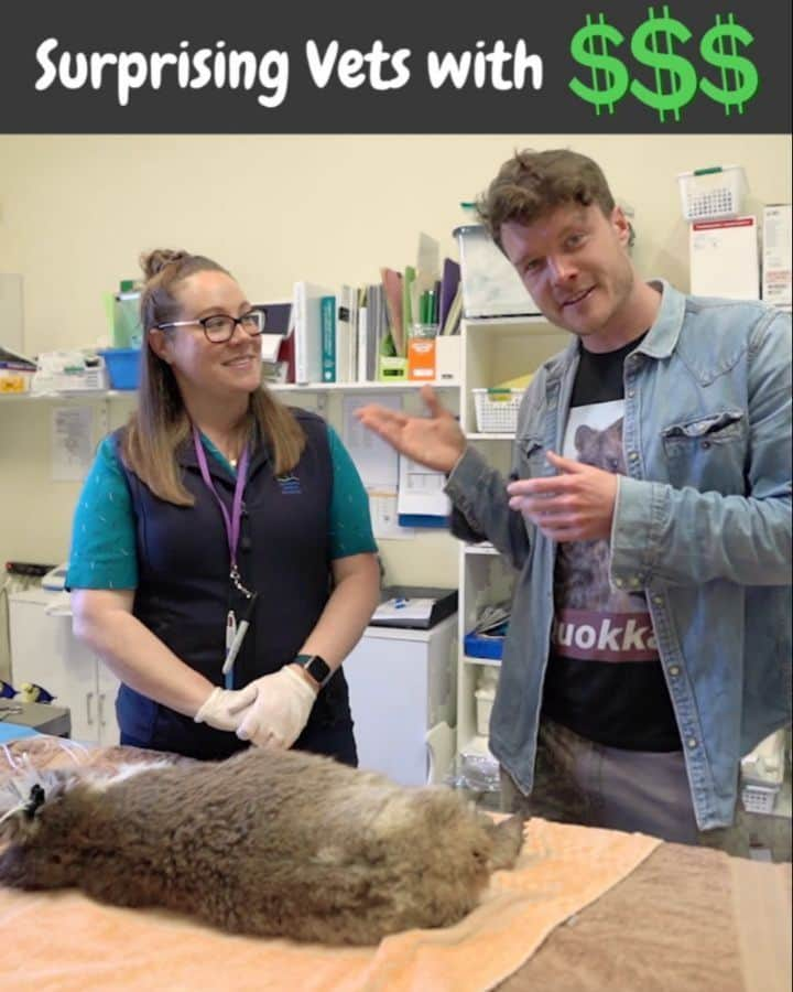 アラン・ディクソンのインスタグラム：「We surprised a wildlife vet with $1000 at the Adelaide Koala & Wildlife Hospital. Natasha has worked there for 12 years and put in countless voluntary hours ontop of her full time work. The money will go to various needs for the wildlife hospital that provides free surgery and services for wildlife in Adelaide. Hopefully it helps a bit. 🐨⁣ ⁣ Also they need volunteers, so if you ever come to Adelaide reach out to them email and say that you're interested because they can always use some hands to help. Check out www.akawhospital.org.au to join them. Great experience, I might go back and give some time myself.⁣ ⁣ Check out my stories for more of the koala Pamela. She was found on the side of the road, looked malnourished so a kind person picked her up and brought her to the hospital for help. Pamela will be ok, she just needs time to regain her strength and will be released back into the wild. ⁣ ⁣ #koala #australia #koalas #koalabear #koalalove #wildlife #animals #koalasofinstagram #nature #koalabears #cute #babykoala #koalababy #wildlifehospital #australiananimals #koalalife #love #savethekoala #australianwildlife #savethekoalas #animal #koalarescue #koalafreak #animallovers #koalasgram #koalasanctuary #animalphotography #koalafanworld #animalwelfare」