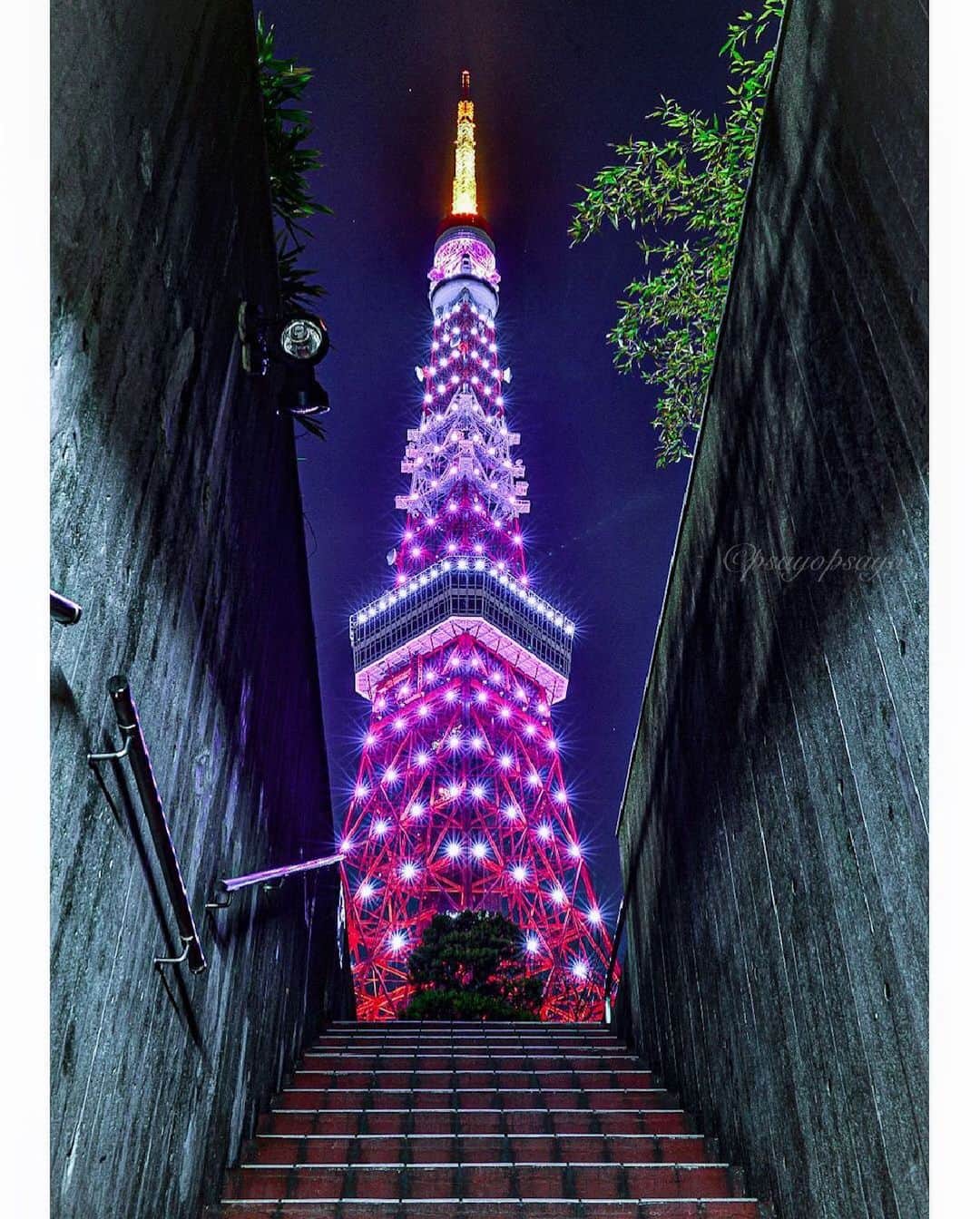 ❤?❤❤❤ Sayo ??❤?❤️❤️❤️のインスタグラム：「★ Happy Sunday 😘🌸💖★. . Location: Tokyo . コロナ禍前に撮ってたピンク💖💜の東京タワー。この場所は有名になり過ぎて今じゃ行列出来てます😅」