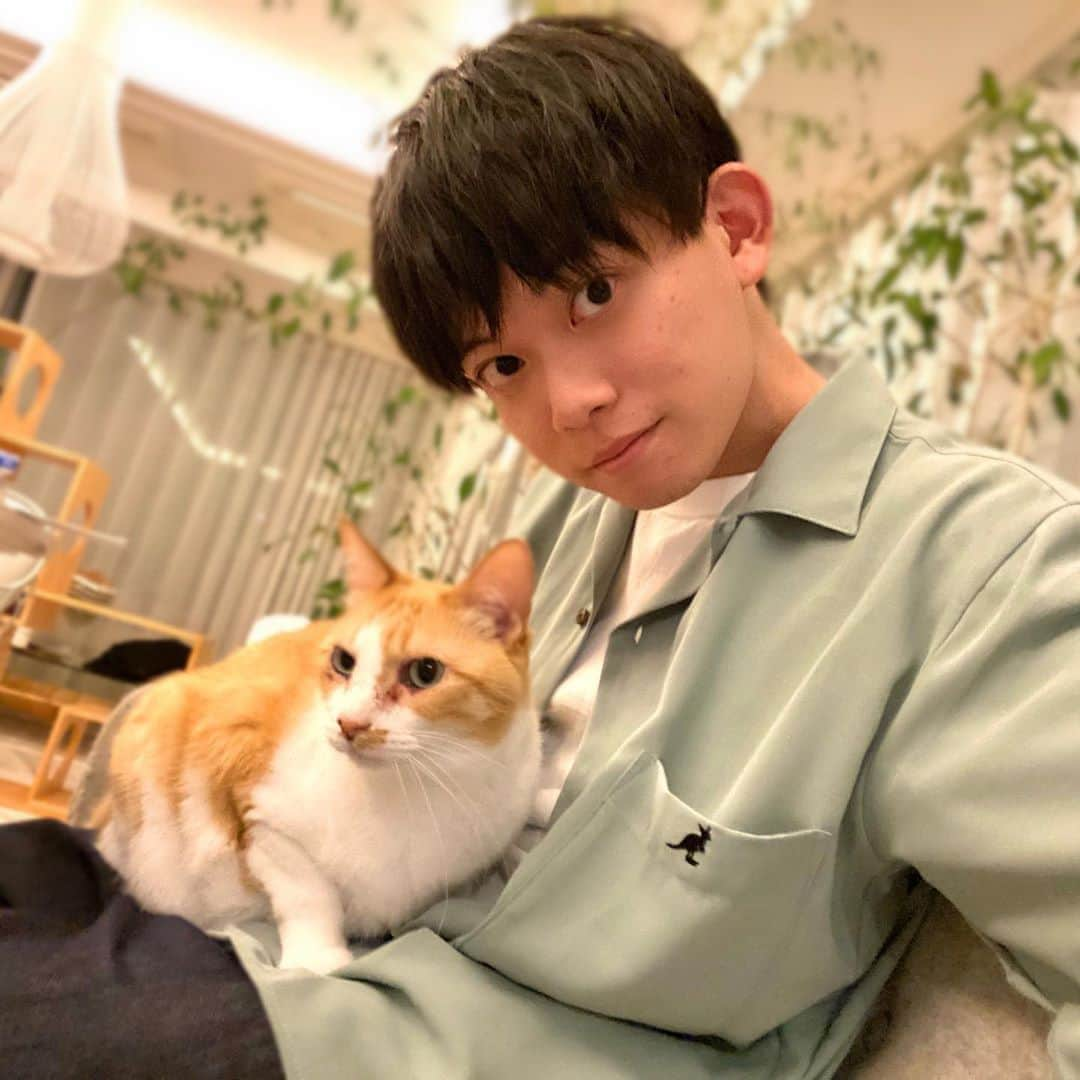 松丸亮吾さんのインスタグラム写真 - (松丸亮吾Instagram)「兄が配信してる間に…🐈」8月30日 20時41分 - ryogomatsumaru