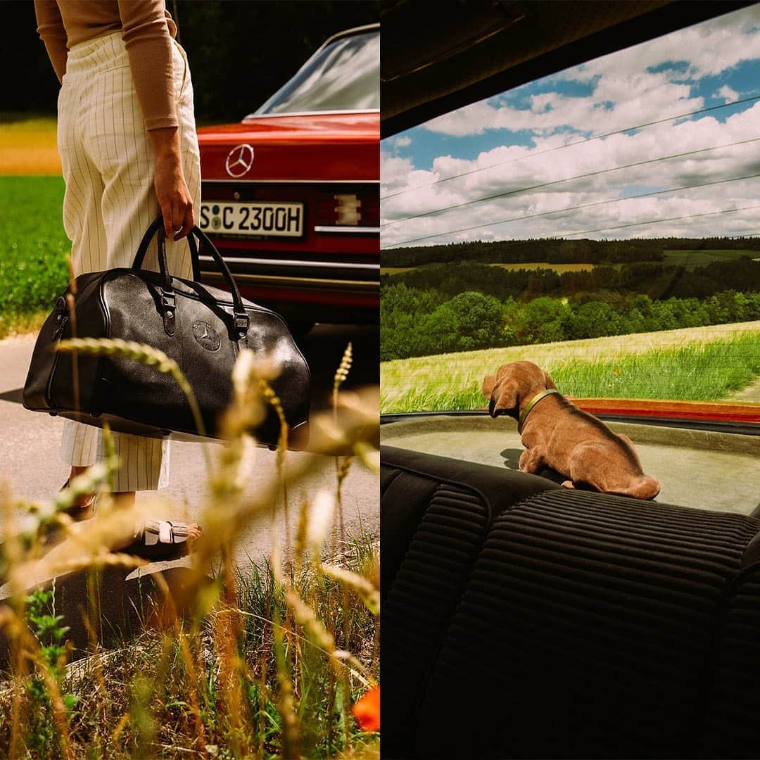 メルセデス・ベンツさんのインスタグラム写真 - (メルセデス・ベンツInstagram)「What about a cute nodding dog and a stylish classic leather bag for your next trip in your Mercedes-Benz? Get the items now online by clicking on the shopping tags!   📷 @roserbrothers #MercedesBenz #MBclassic #thebestornothing」8月30日 23時02分 - mercedesbenz