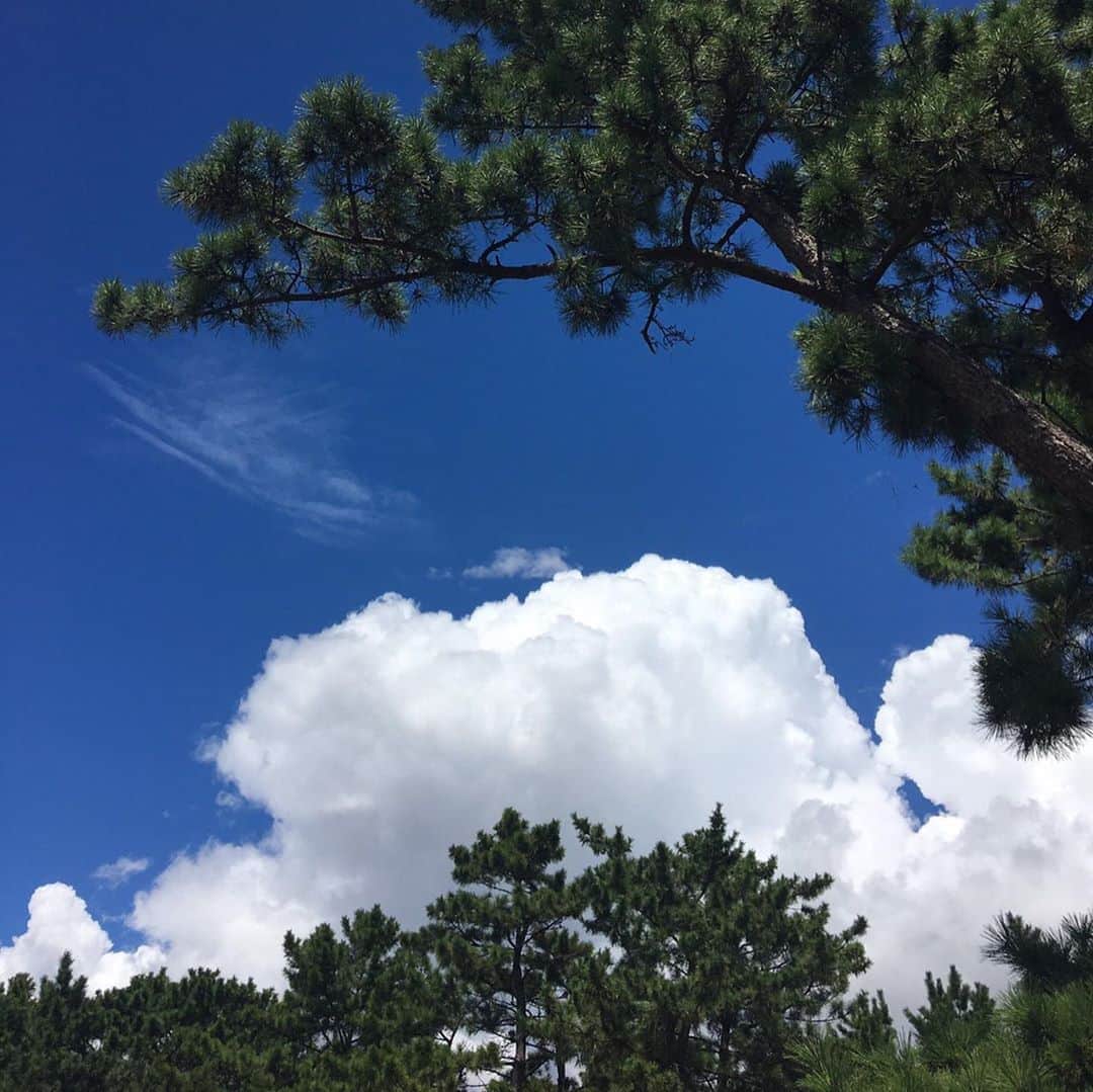 奥山佳恵さんのインスタグラム写真 - (奥山佳恵Instagram)「・ 今日の夕方の空の色。 青と青のあいだが淡いピンクで  こんなキレイなグラデーション、  絵で表現するのはとても大変！  地球はなんて芸術家！  なんて感動していたら  今日の昼間に、同じく 空を眺めたダンナから 送られてきた、夏の空が。  結果、今日はフーフで 空ばかりを見ていた。 ・」8月30日 22時58分 - okuyama_yoshie