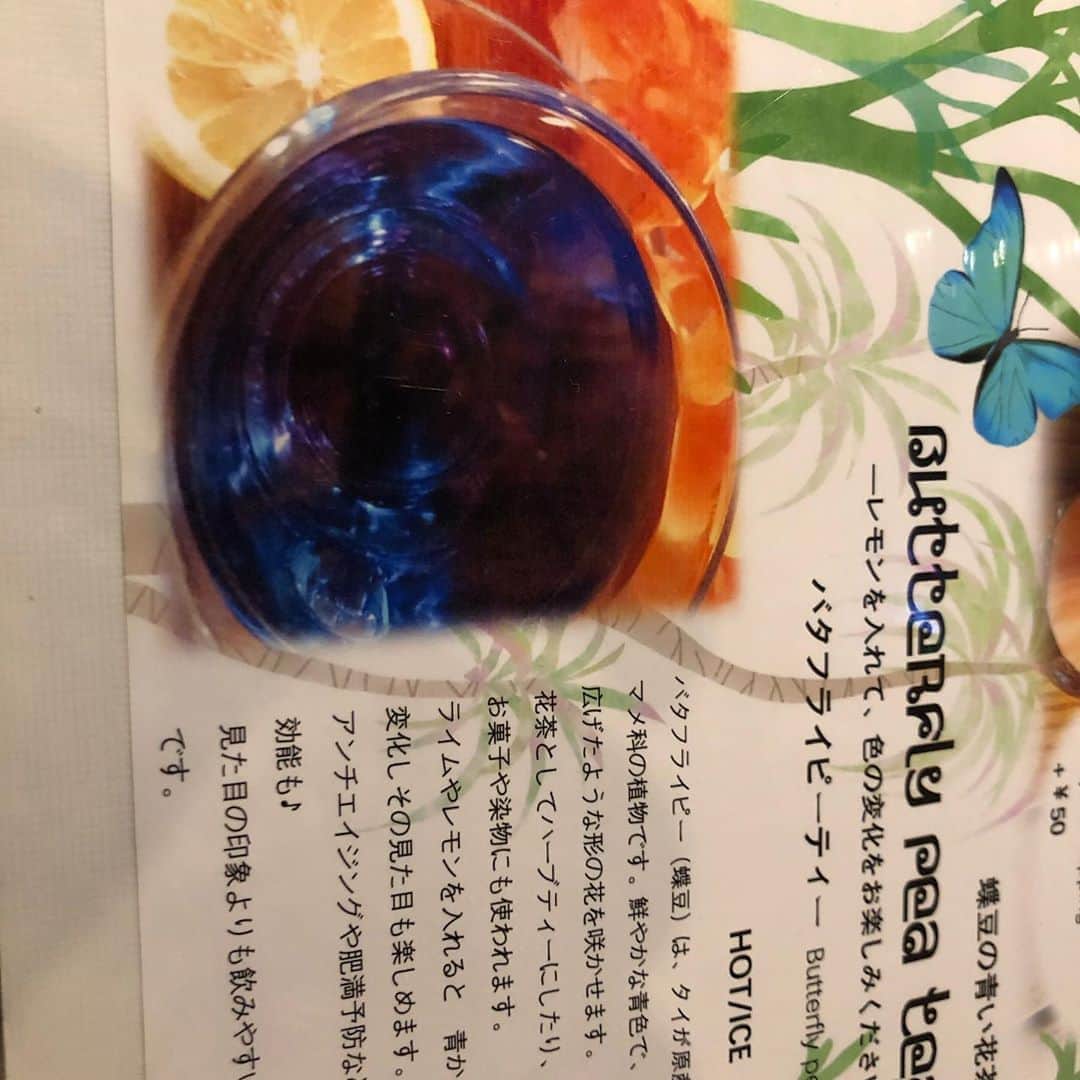 ティ・カトウのインスタグラム