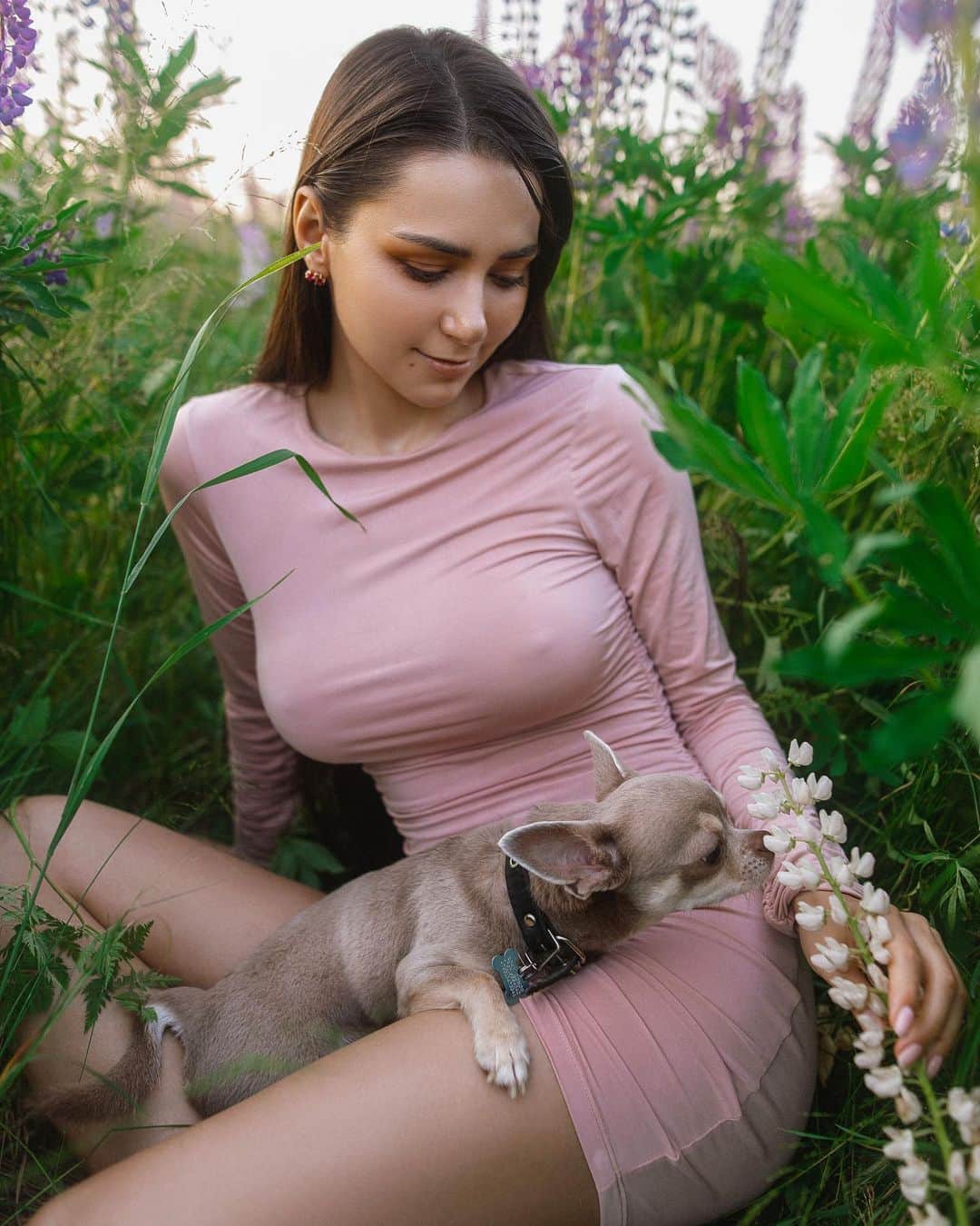 のインスタグラム：「The journey of life is sweeter when traveled with a dog 🐶💙」