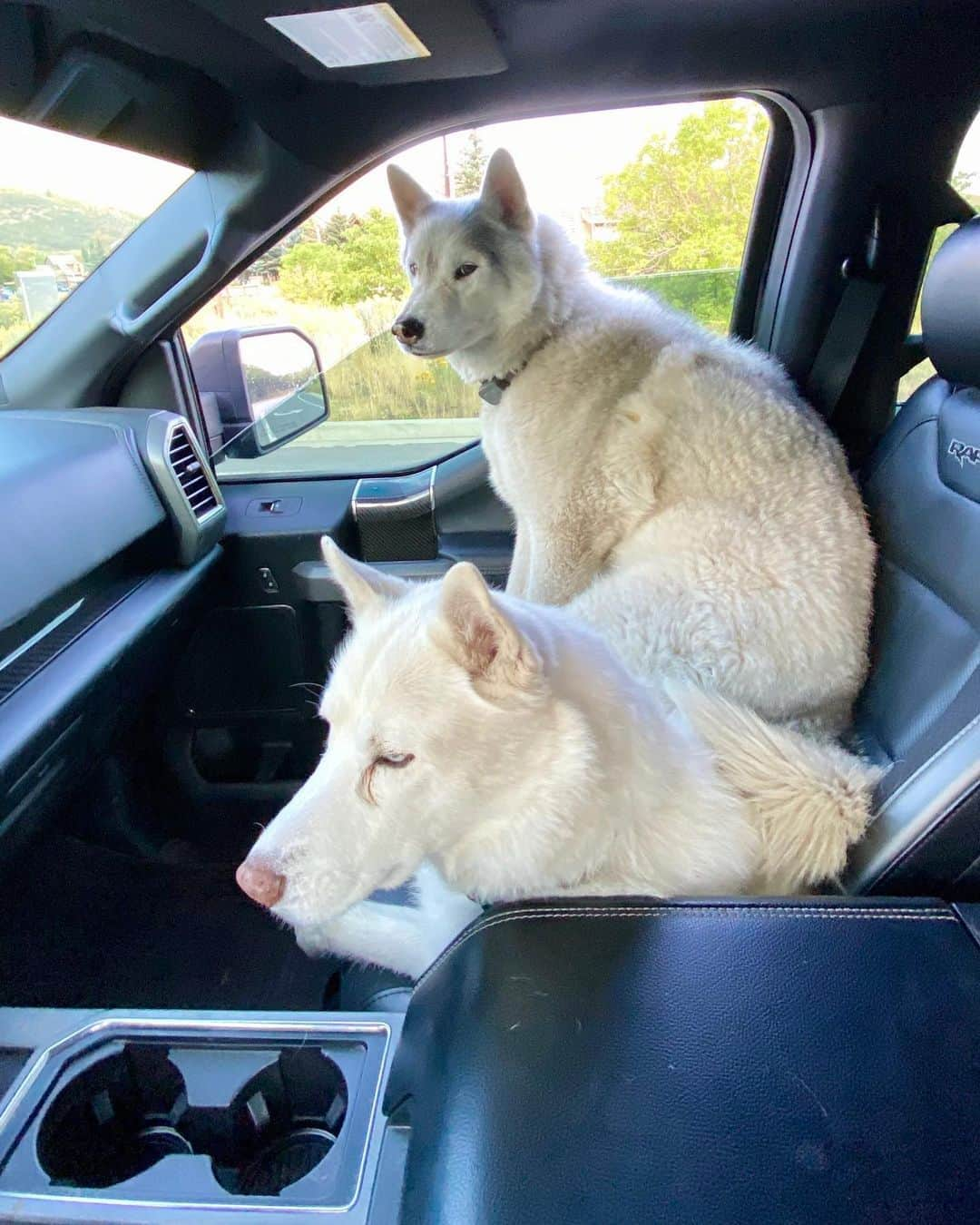 ケン・ブロックさんのインスタグラム写真 - (ケン・ブロックInstagram)「Morning cruise with our fur beasts. Every day is a good day with Bentley Chicken Fingers and Yuki the Destroyer. #mansbestfriend #BentleyChickenFingersBlock #YukiTheDestroyer」8月31日 0時36分 - kblock43