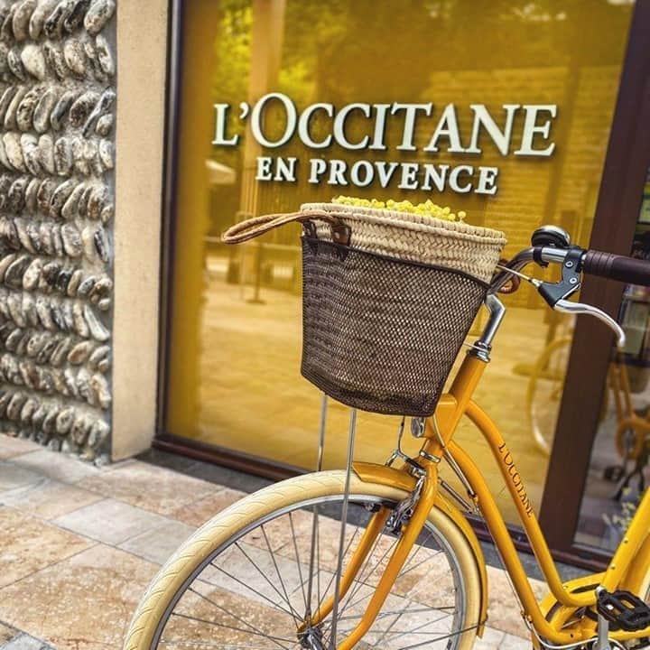 ロクシタンさんのインスタグラム写真 - (ロクシタンInstagram)「Nothing quite as Provençal as a yellow bicycle with a basket! 💛 We love our signature yellow, it's such a happy color! Who else is a fan?#Regram 📸 @lp.louphotography13 #LOccitane #Provence #Bicycle #Yellow #BeautyProducts #BeautyEssentials #TravelWithLOccitane #VisitSouthofFrance」8月31日 3時01分 - loccitane