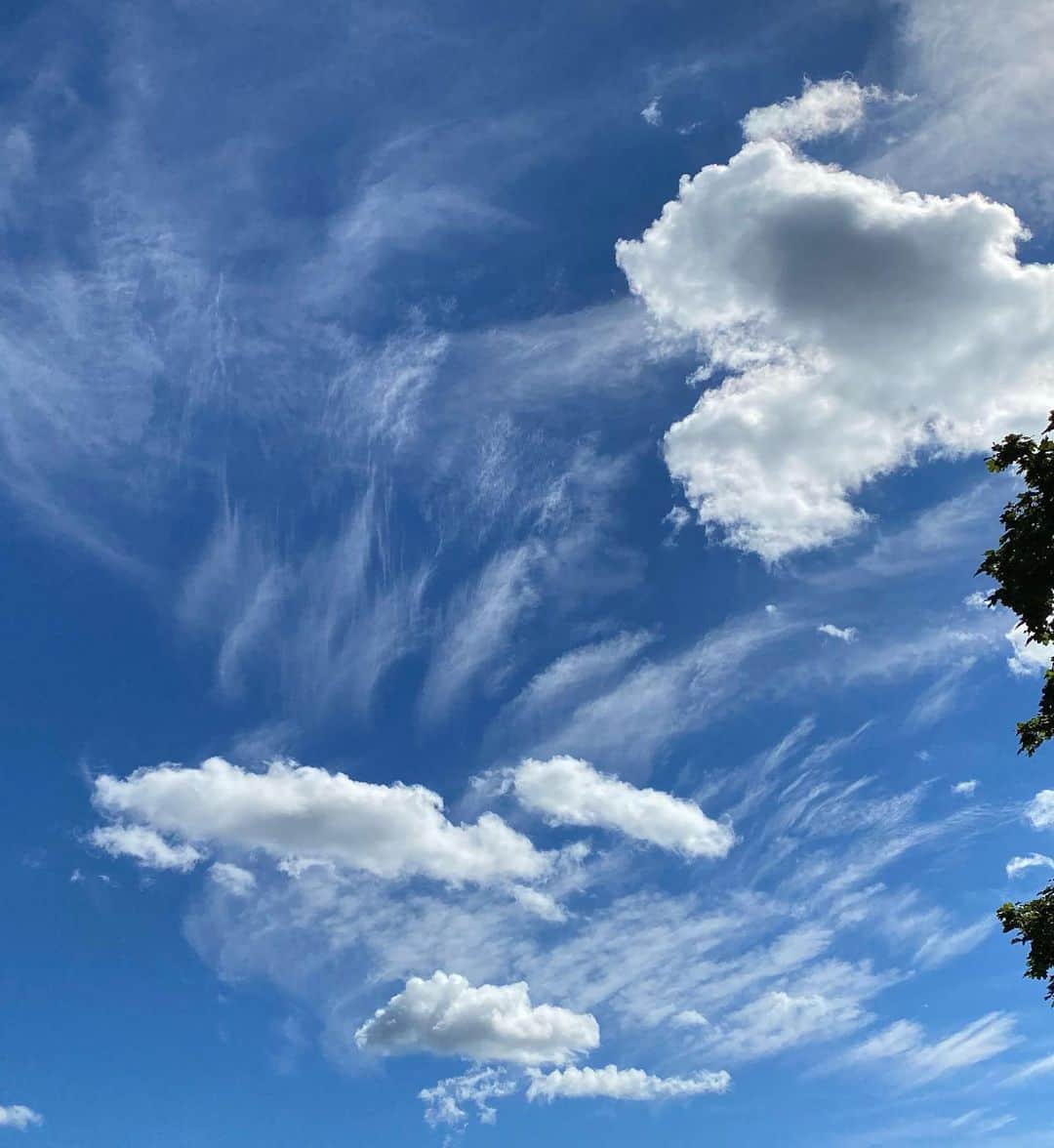 クリスティ・ブリンクリーさんのインスタグラム写真 - (クリスティ・ブリンクリーInstagram)「This is our 260 year old Bonsai. I keep it around because it makes me feel young! Lol! 😂 And look at this magnificent sky with heart shaped,  and every shape clouds floating by. Sky gazing is good for the soul! Hey any Bonsai experts out there? My Bonsai’s leaves keep turning yellow and dropping. Any tips? #happysunday #cloudappreciationsociety #bonsai PS this is a famous Bonsai it went on tour of the US!」8月31日 4時49分 - christiebrinkley