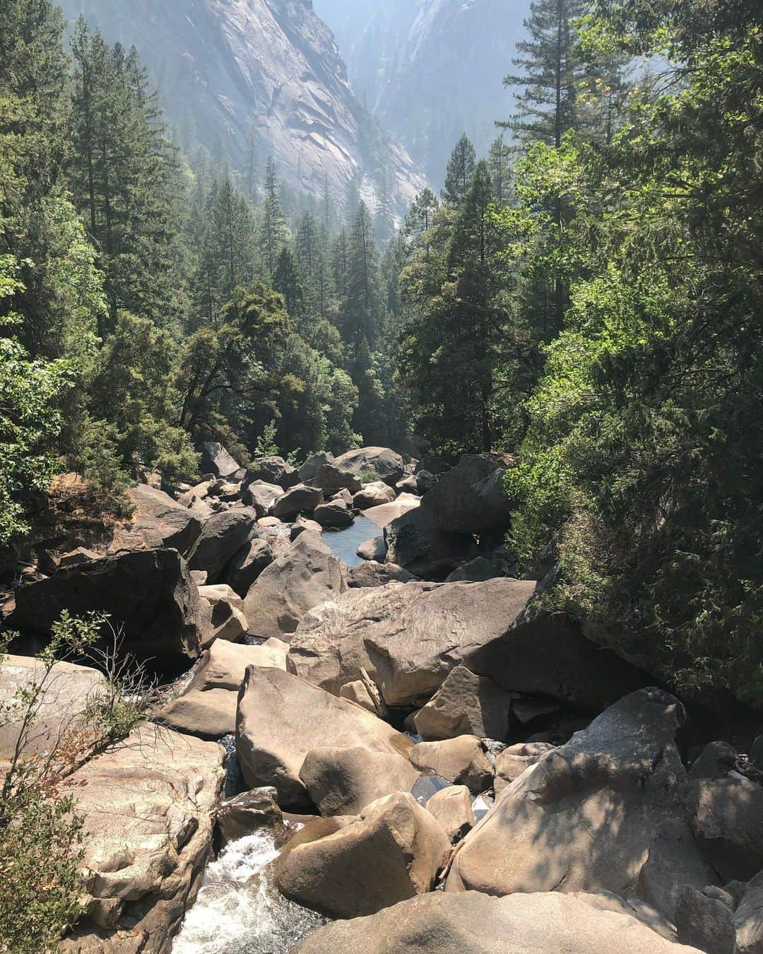 コンスタンス・ジマーさんのインスタグラム写真 - (コンスタンス・ジマーInstagram)「“Of all the paths you take in life, make sure a few of them are dirt.” #johnmuir  I went to the mountains to see the trees, the waterfalls and the swimming holes...I found myself again. Give yourself a moment everyday to find yourself and feel those feelings, so you can continue to go about your day, your week, your month, your year. Life is precious. You never know what someone else is going through. Above all BE KIND to strangers, BE KIND to yourself and BE KIND to the earth! #sundayselfie」8月31日 4時49分 - constancezimmer