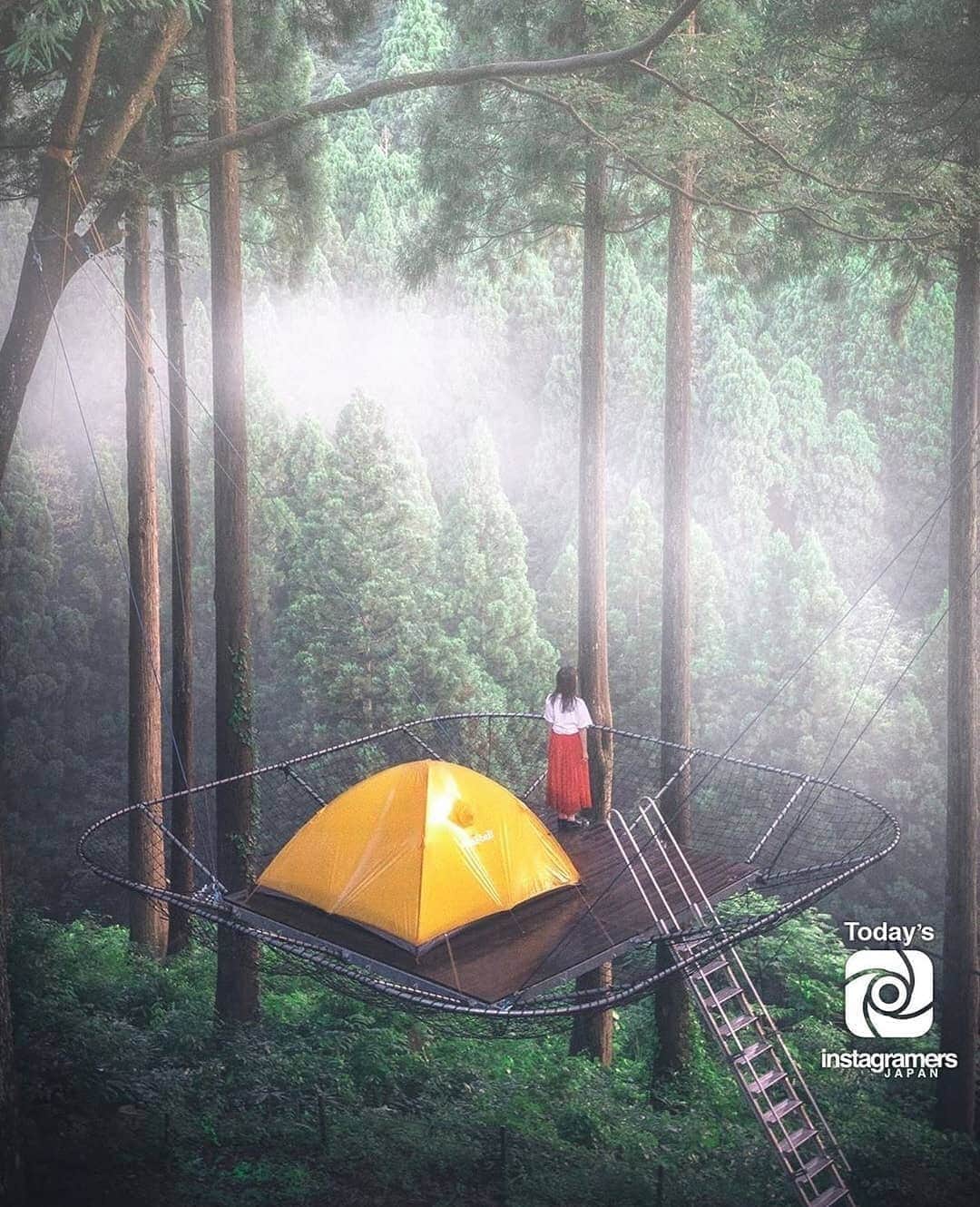 のインスタグラム：「Hanging from the trees by @urara_photo and @igersjp 💚😍📸🙌✨ #igersJP #igers」